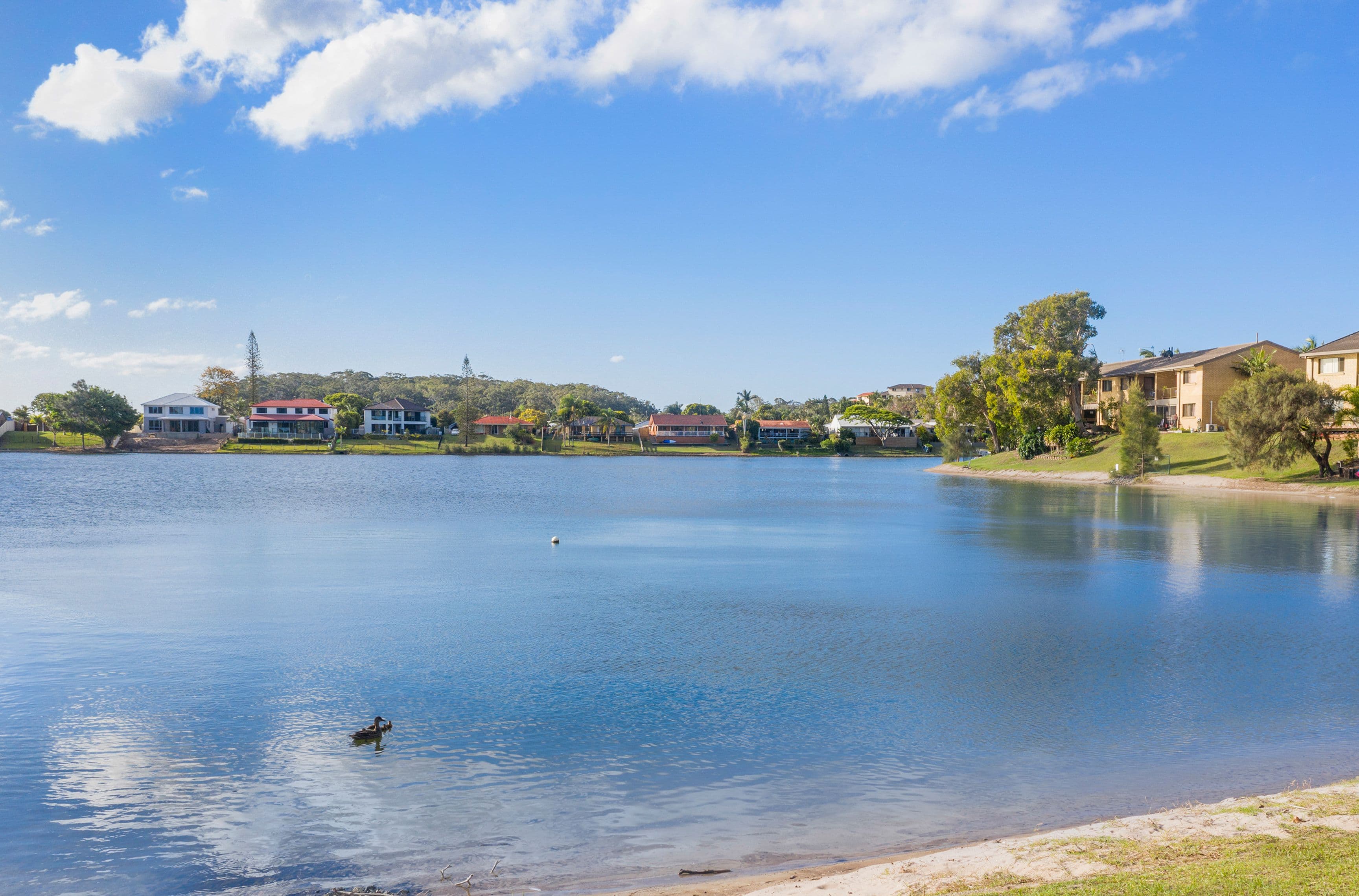 11 Shrike Court, Burleigh Waters QLD 4220, Burleigh Waters - Thumbnail 8