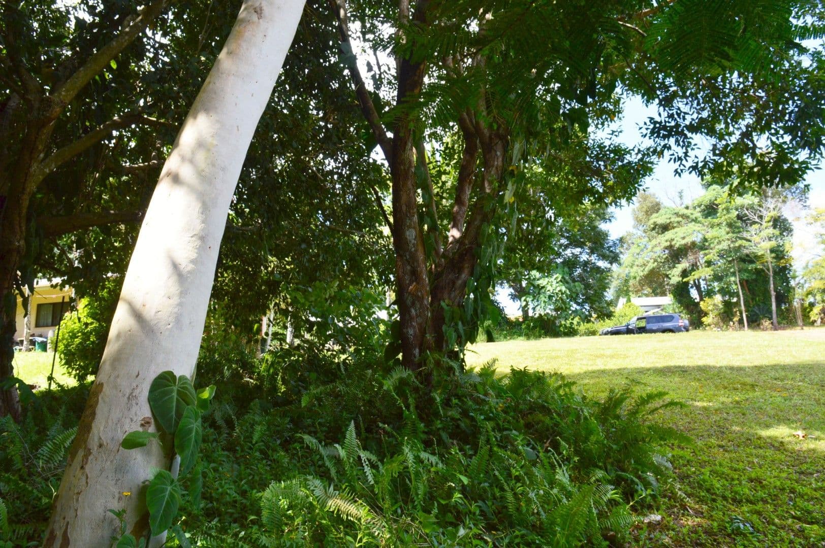 16 Royal Palm Drive, Mission Beach QLD 4852, Mission Beach - Thumbnail 5