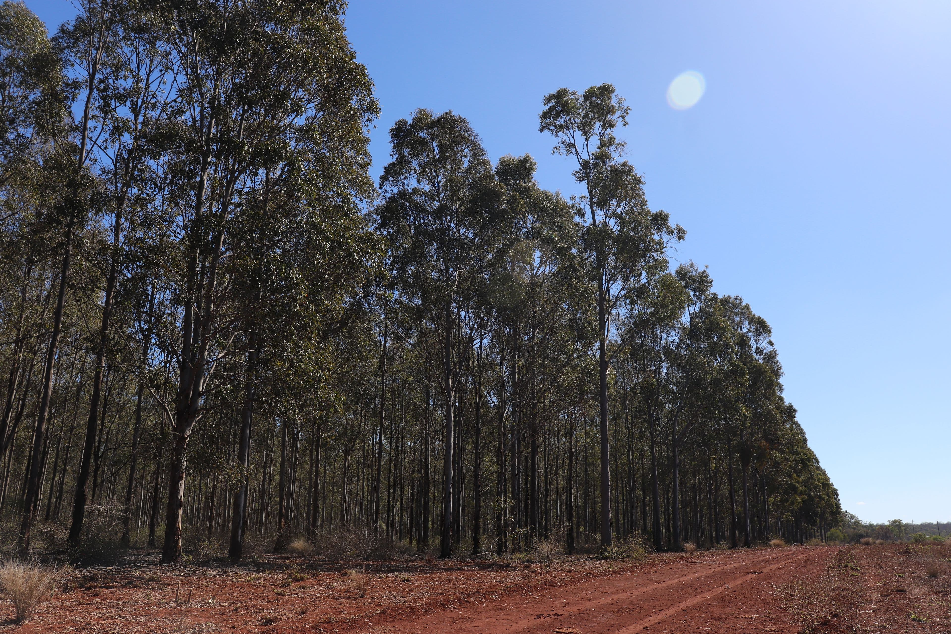 'Meredith' Forestry Road, Gurgeena QLD 4626, Gurgeena - Thumbnail 2