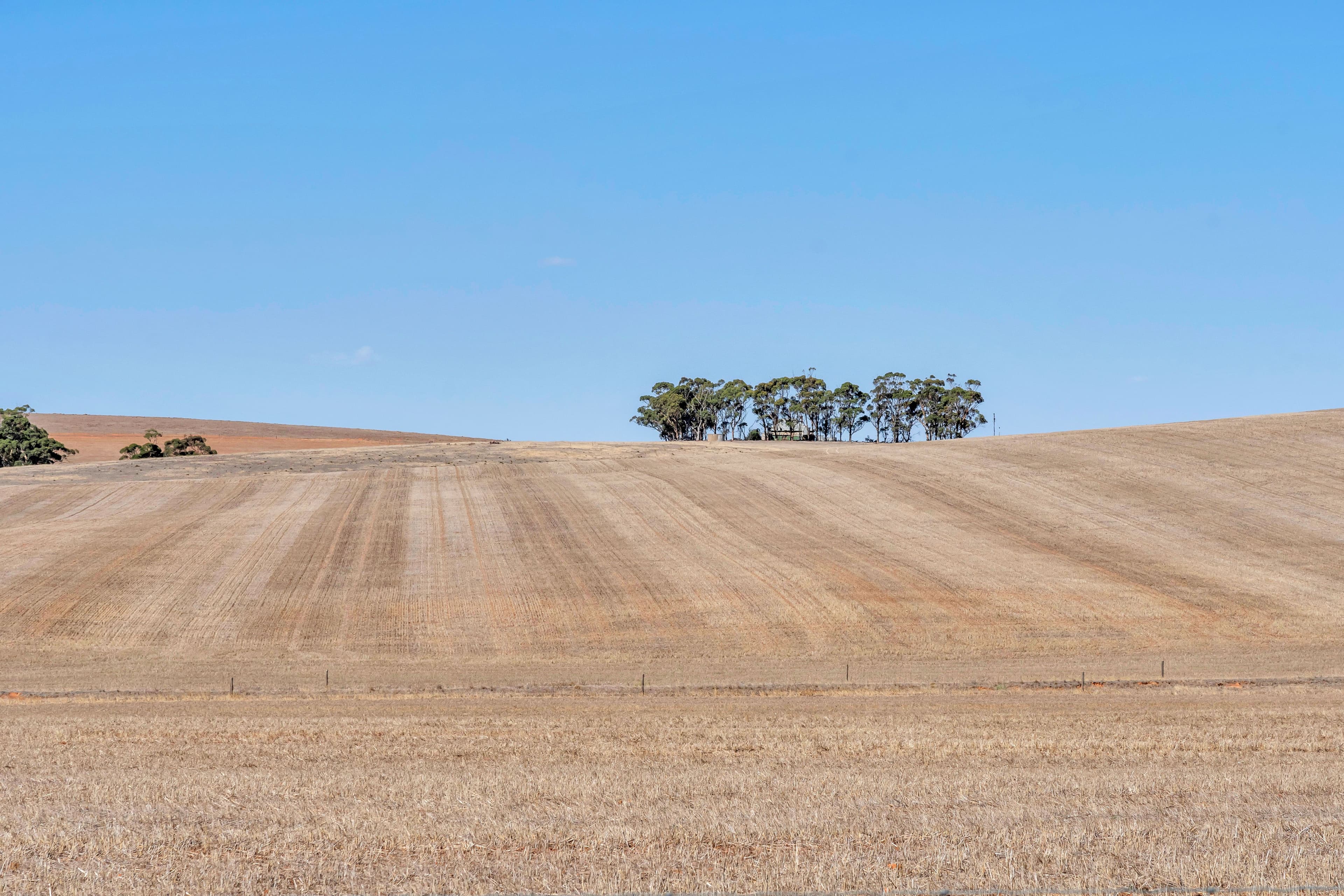 "Mitchell's Block" - Lot 86 Prior Road, Burra SA 5417, Burra - Thumbnail 6