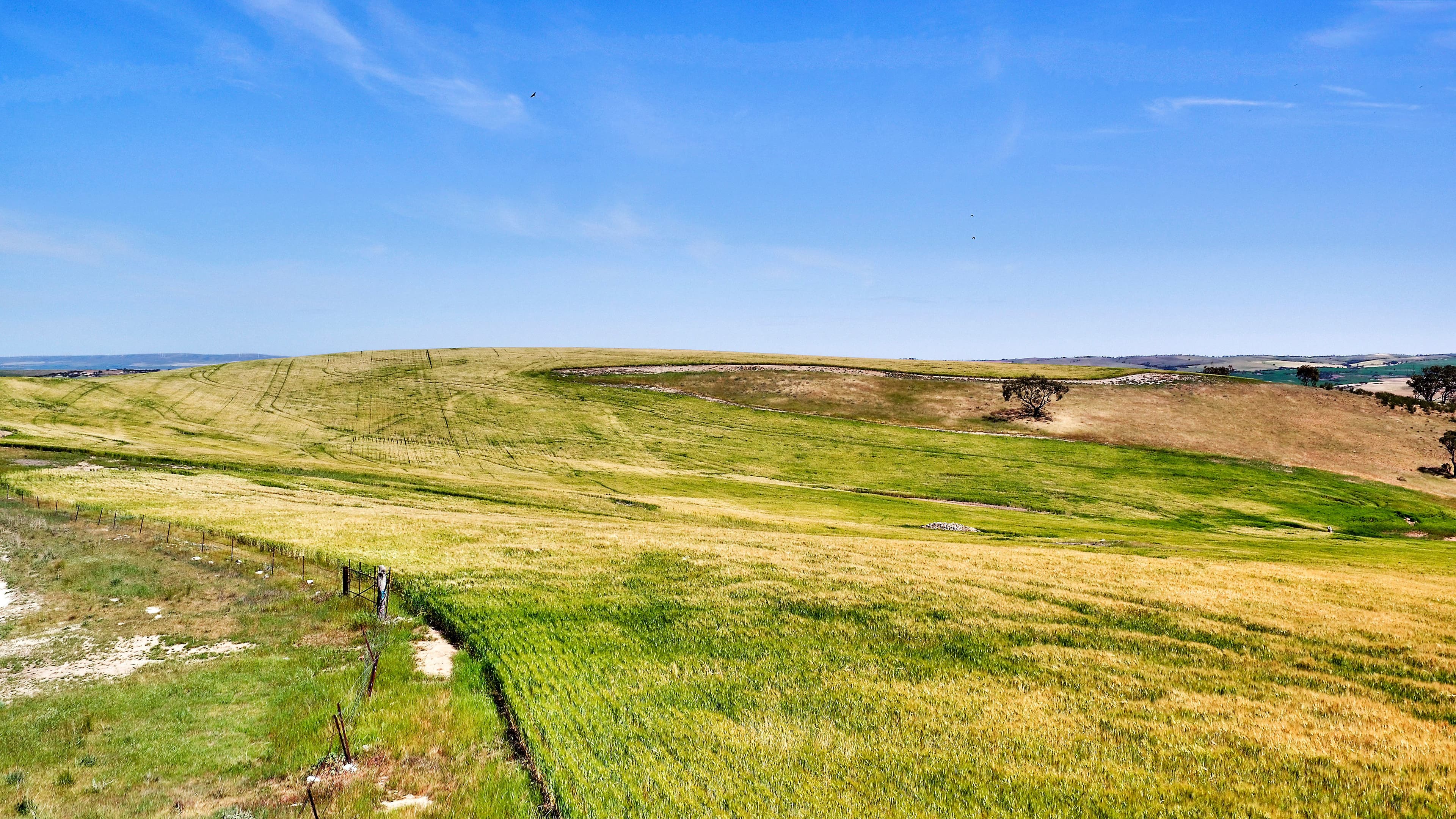 "Twin Valleys" Yacka-Andrews Road, Yacka SA 5470, Yacka - Thumbnail 4