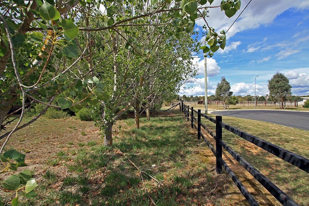 85 Trucking Yard Lane, Bungendore NSW 2621, Bungendore - Thumbnail 2