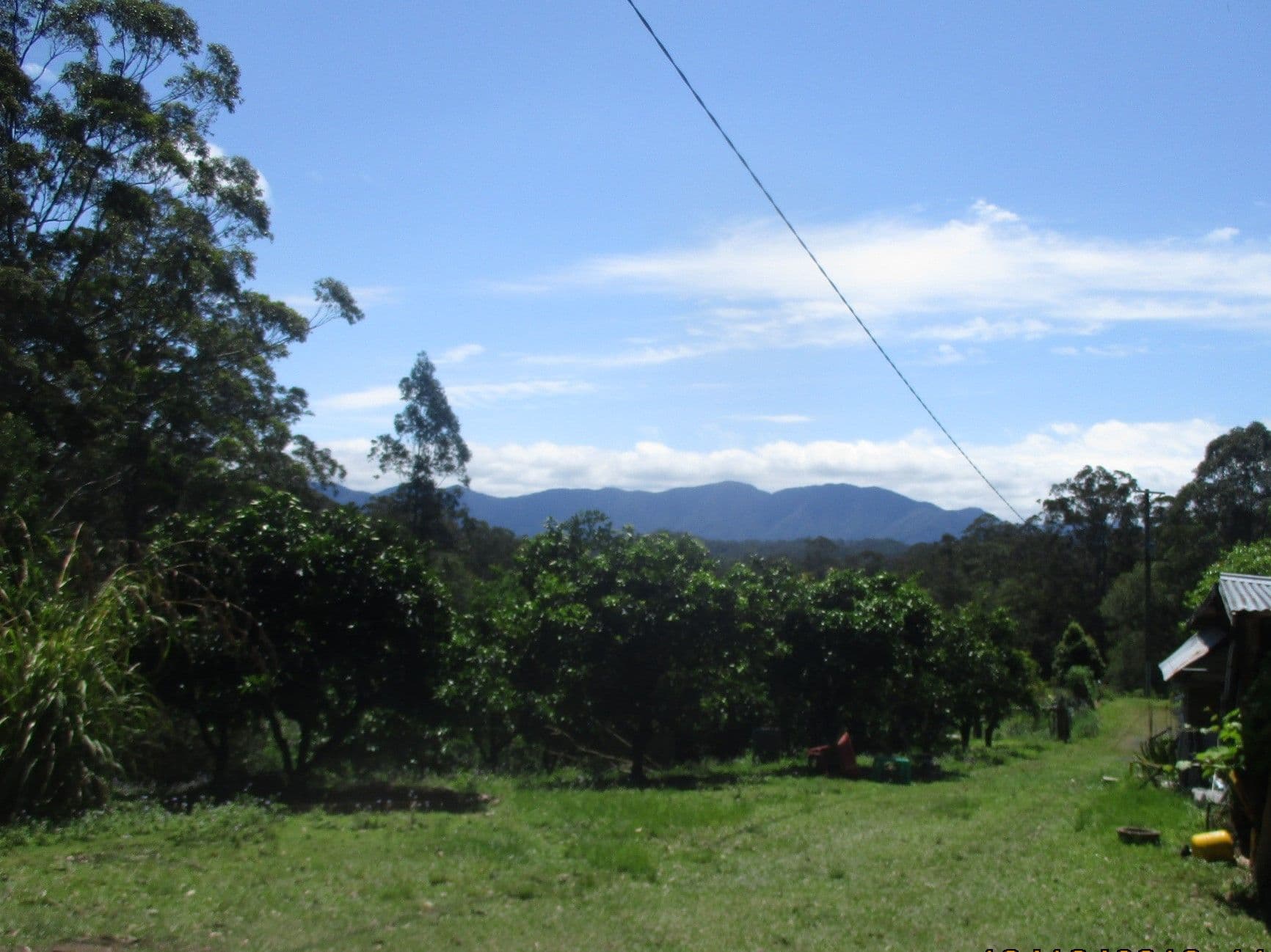 139 Hennesseys Lane, Bellingen NSW 2454, Bellingen - Thumbnail 4