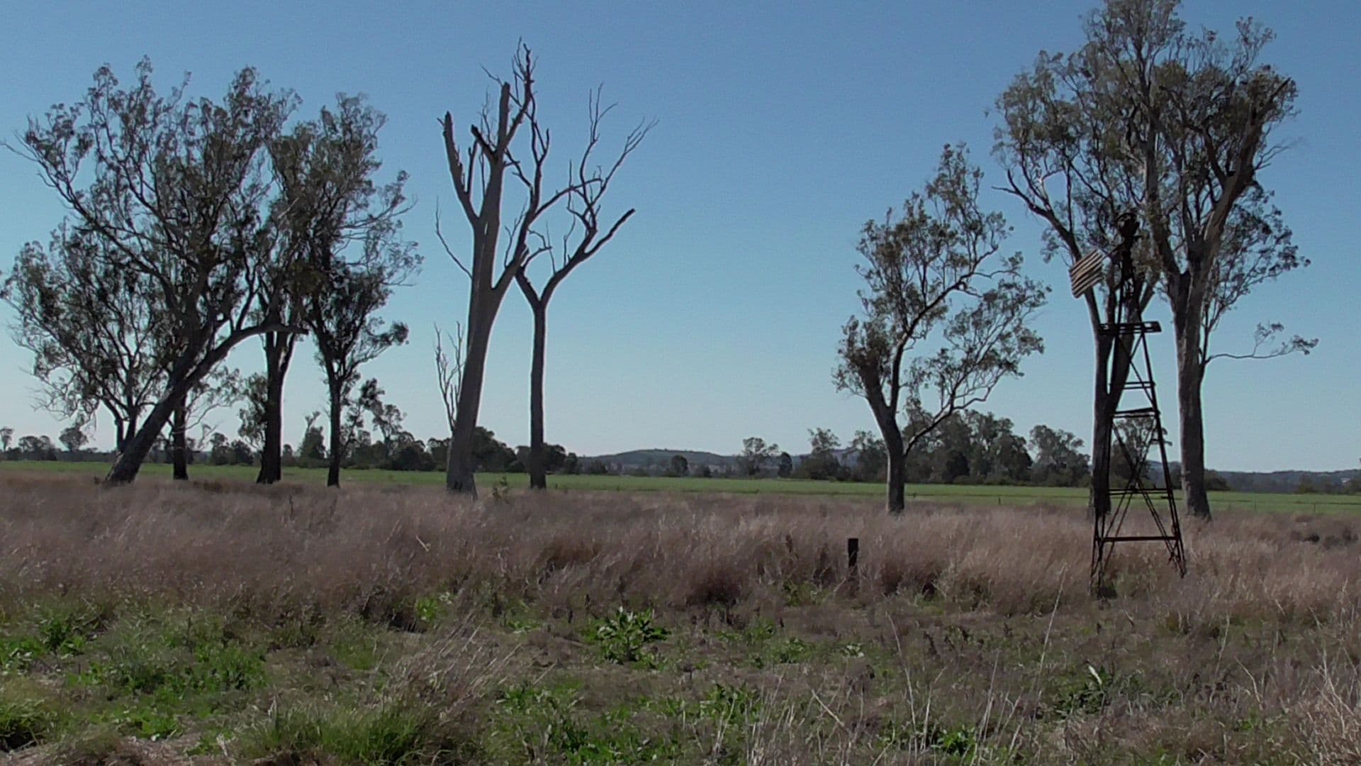 Wondai QLD 4606, Wondai - Thumbnail 7