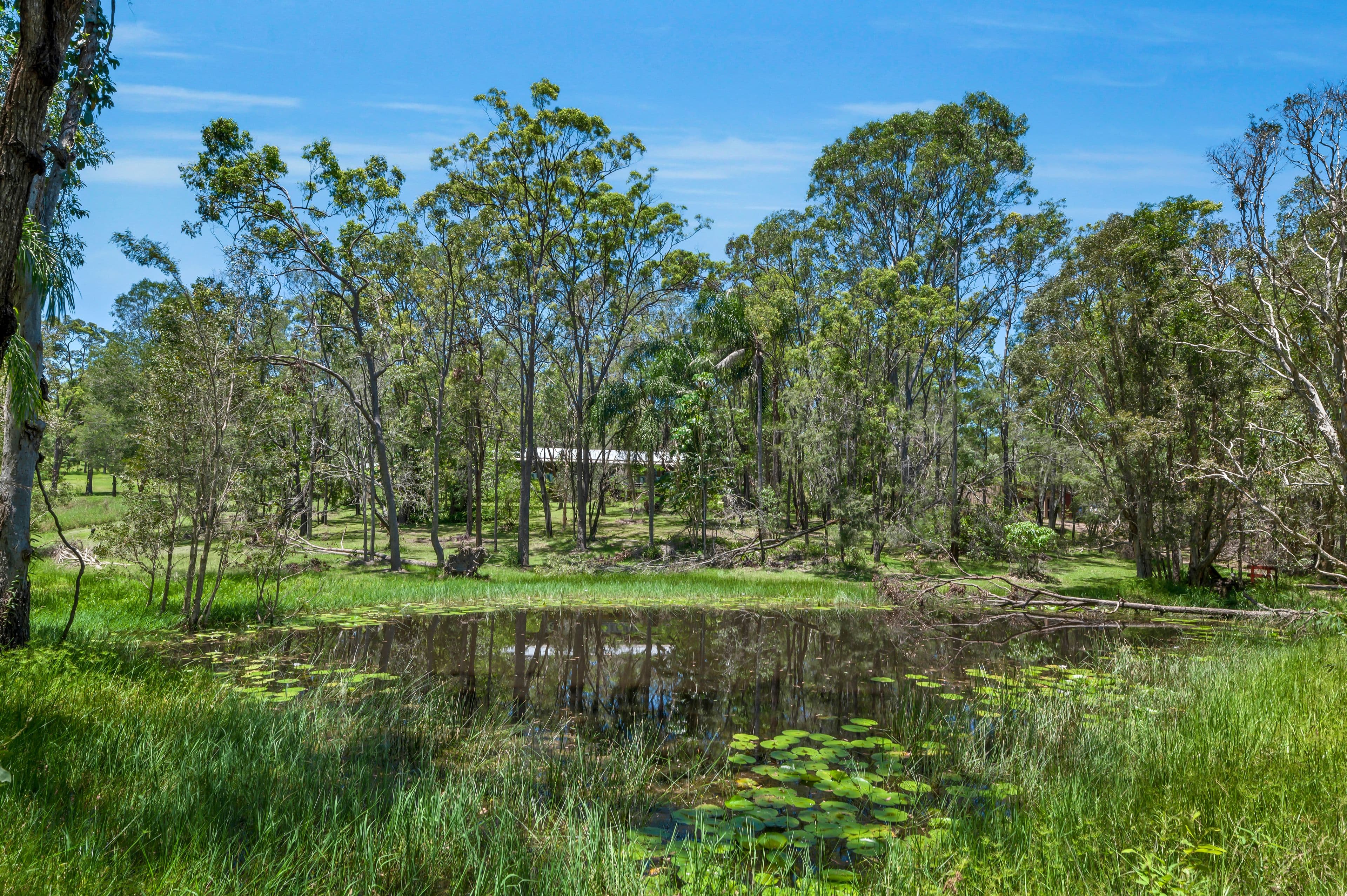 209 Rosemount Drive, Willow Vale QLD 4209, Willow Vale - Thumbnail 2