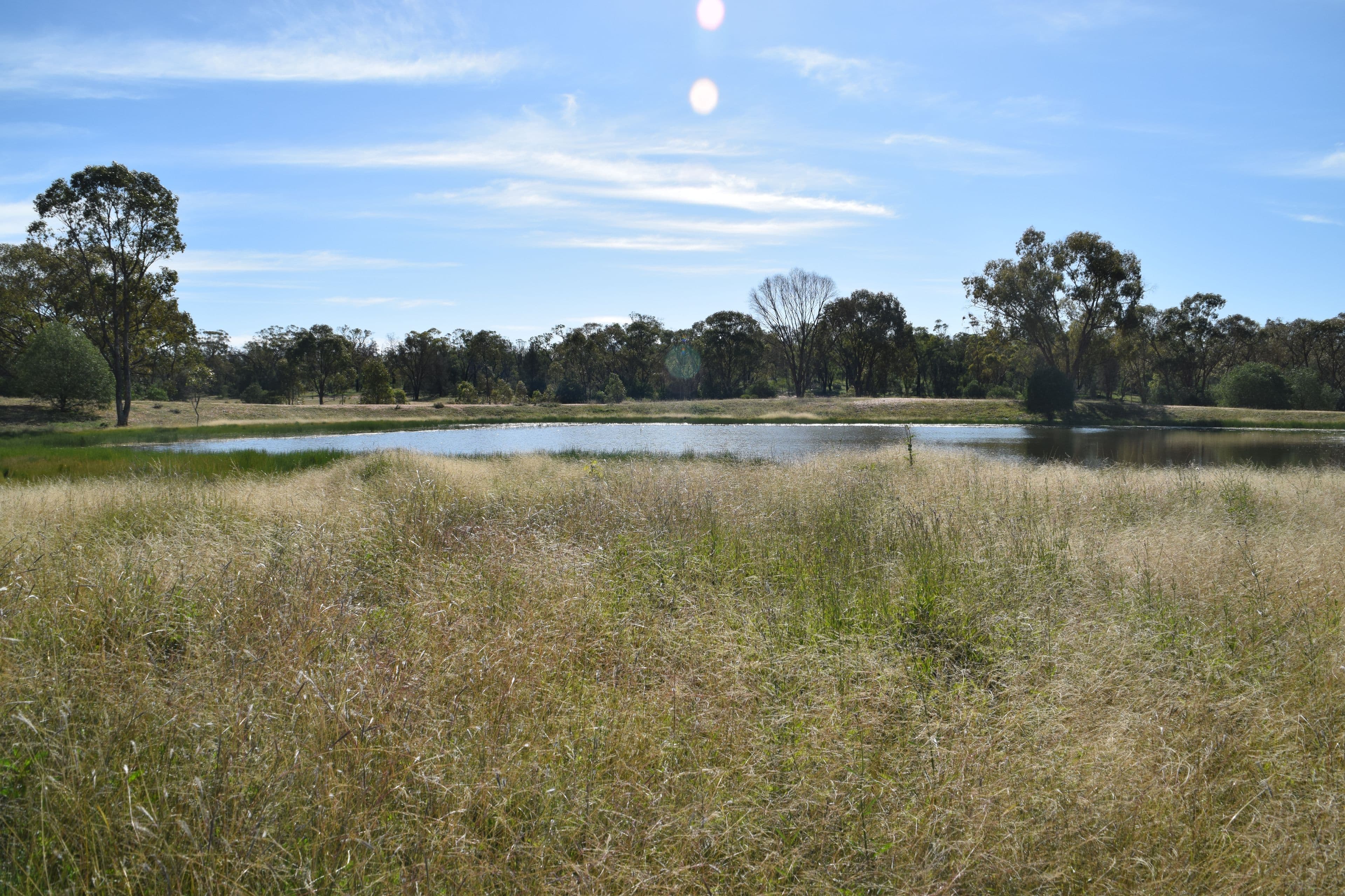 The Additional 123 Strudwicks Road, Tottenham NSW 2873, Tottenham - Thumbnail 3