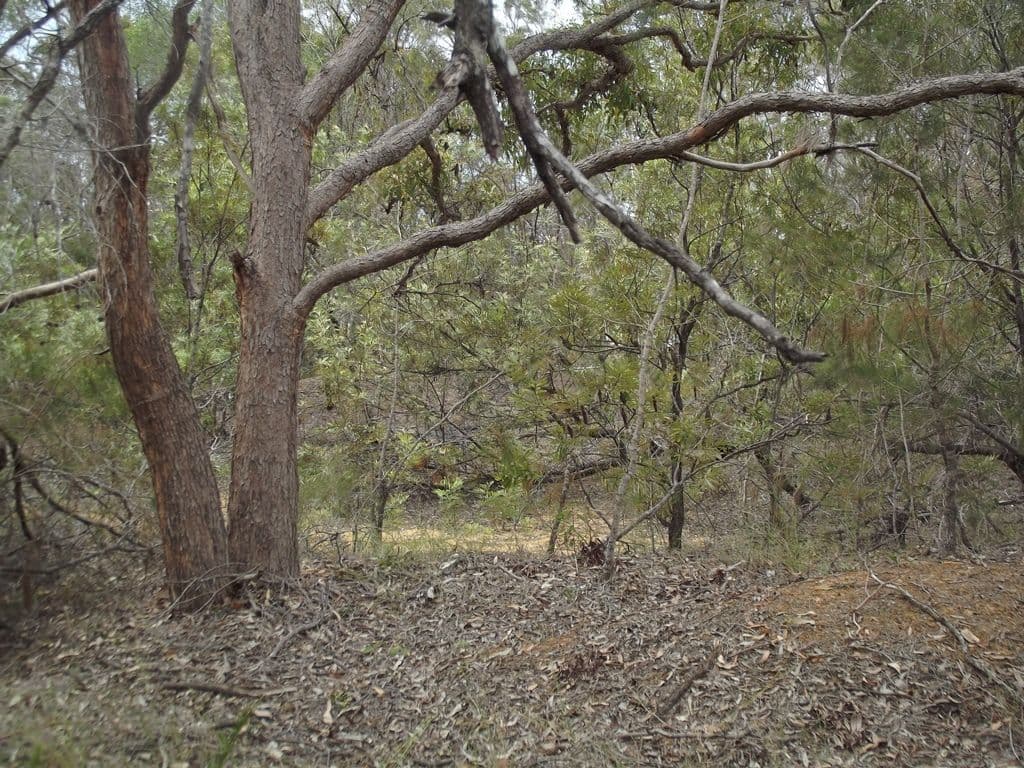 9-17 Keith Street, Burrum River QLD 4659, Burrum River - Thumbnail 4