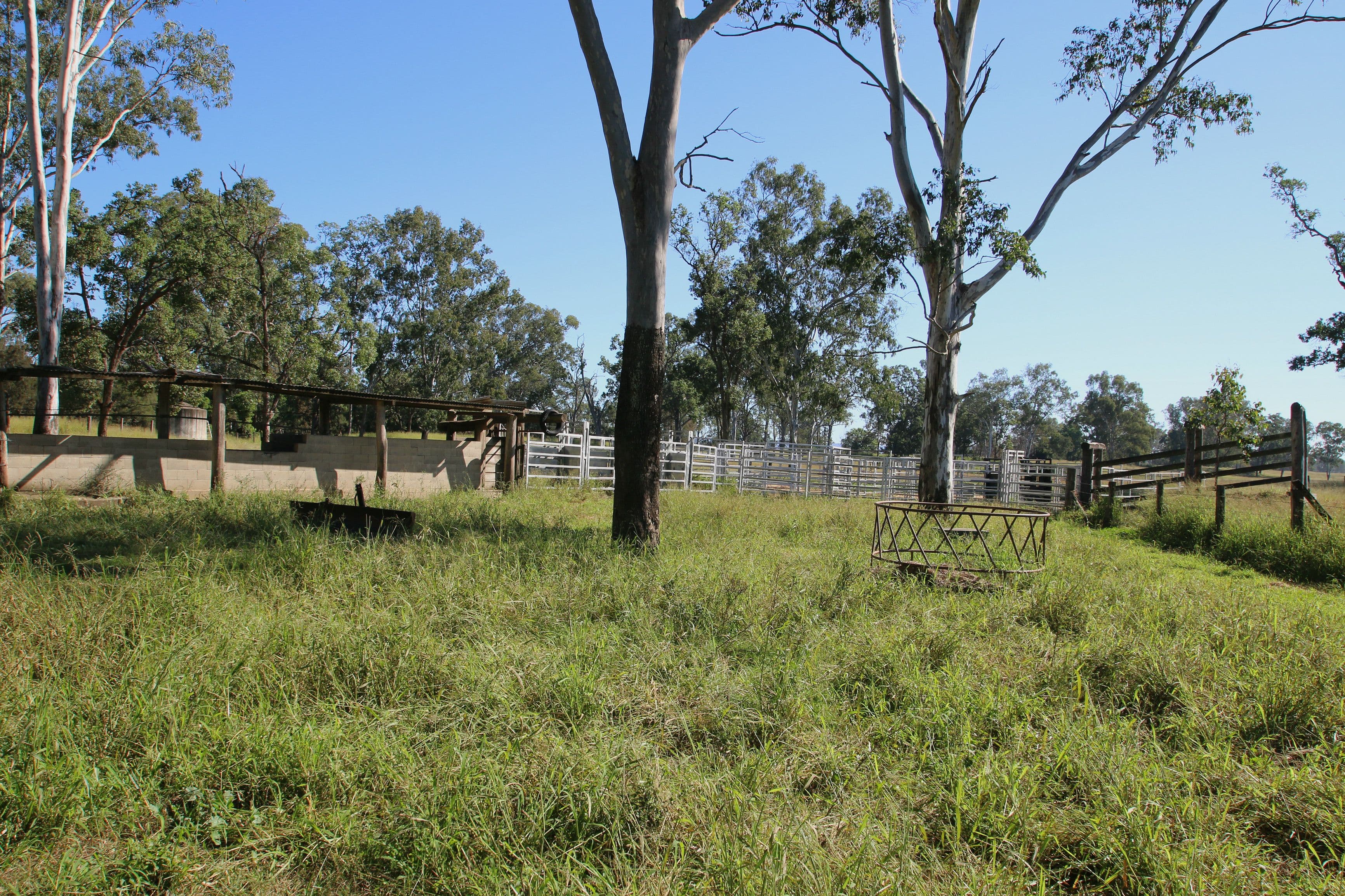 Monto QLD 4630, Monto - Thumbnail 8