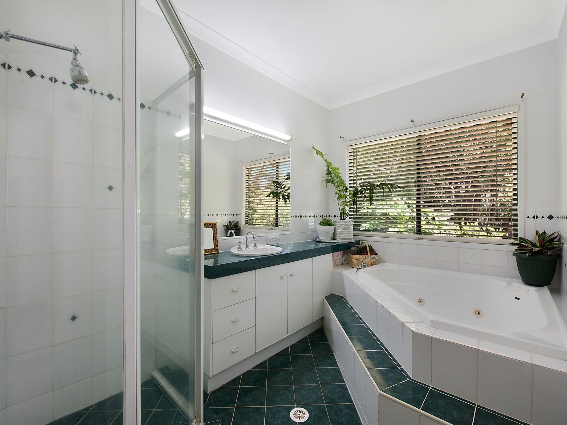 33 Monks Crescent, Buderim QLD 4556, Buderim - Thumbnail 3
