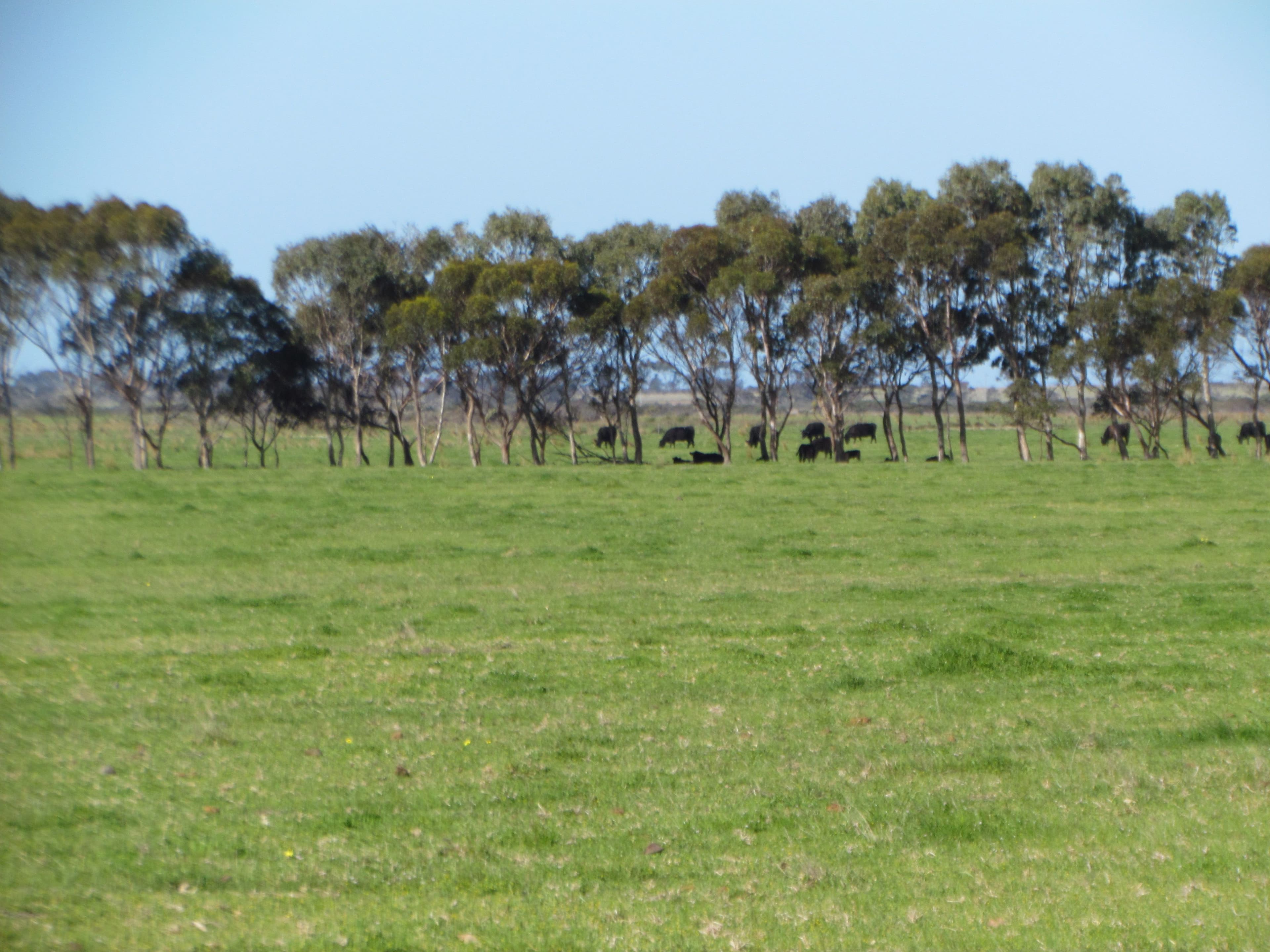 Jerdacuttup WA 6346, Jerdacuttup - Thumbnail 4