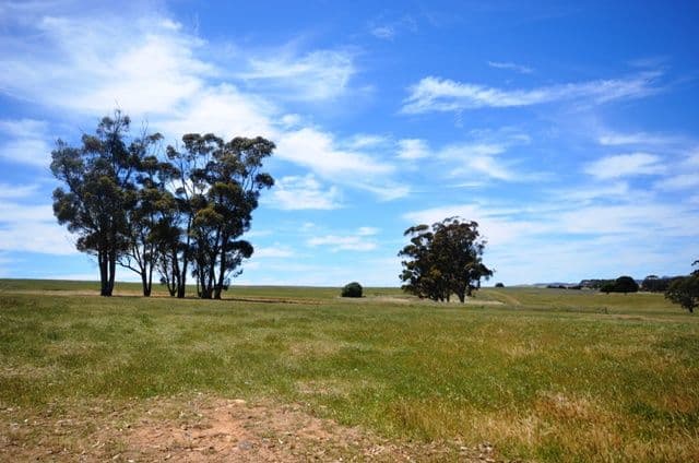 "Holm Hill" Holm Hill Road, Manoora SA 5414, Manoora - Thumbnail 3