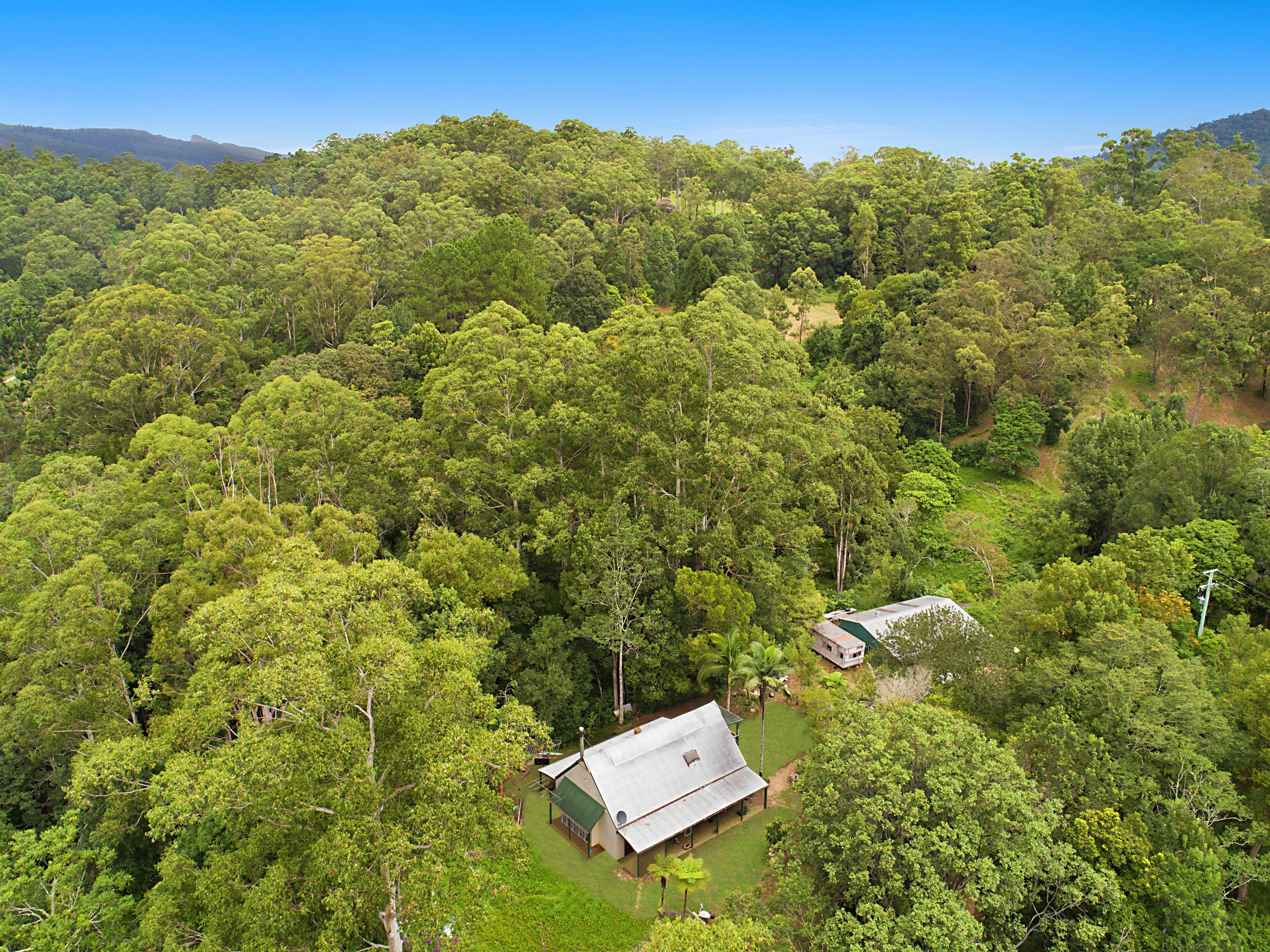 54 Bald Mountain Road, Limpinwood NSW 2484, Limpinwood - Thumbnail 7
