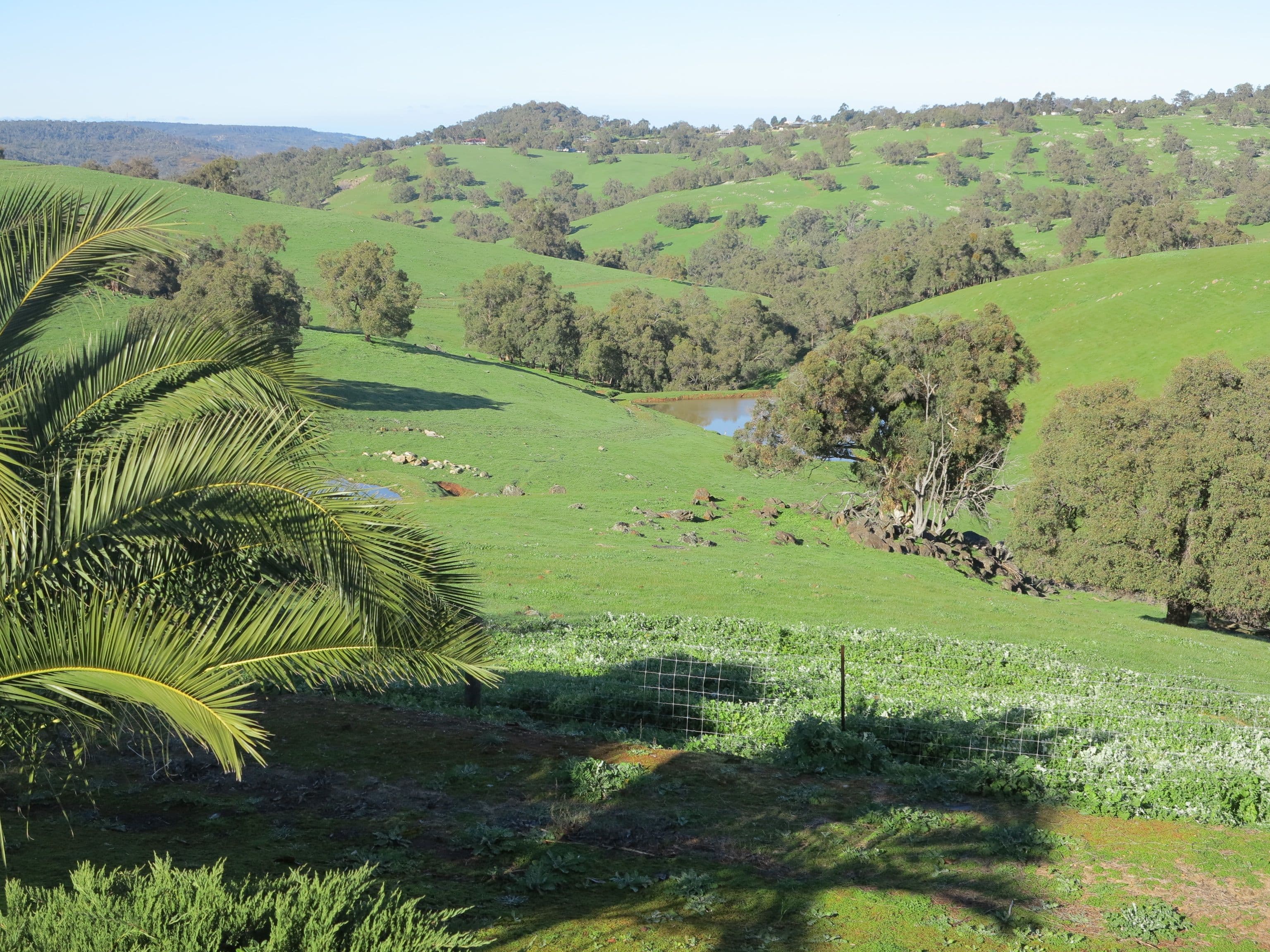 Lot 356 Taylor Road, Bullsbrook WA 6084, Bullsbrook - Thumbnail 7