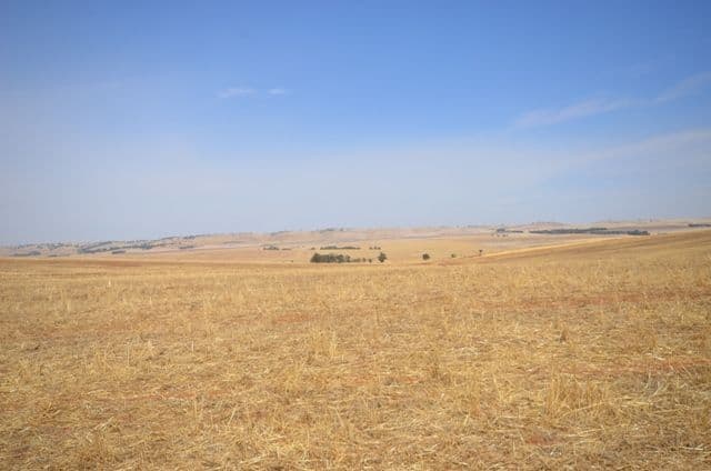 2 Lots RM Williams Highway, Andrews SA 5454, Andrews - Image 1