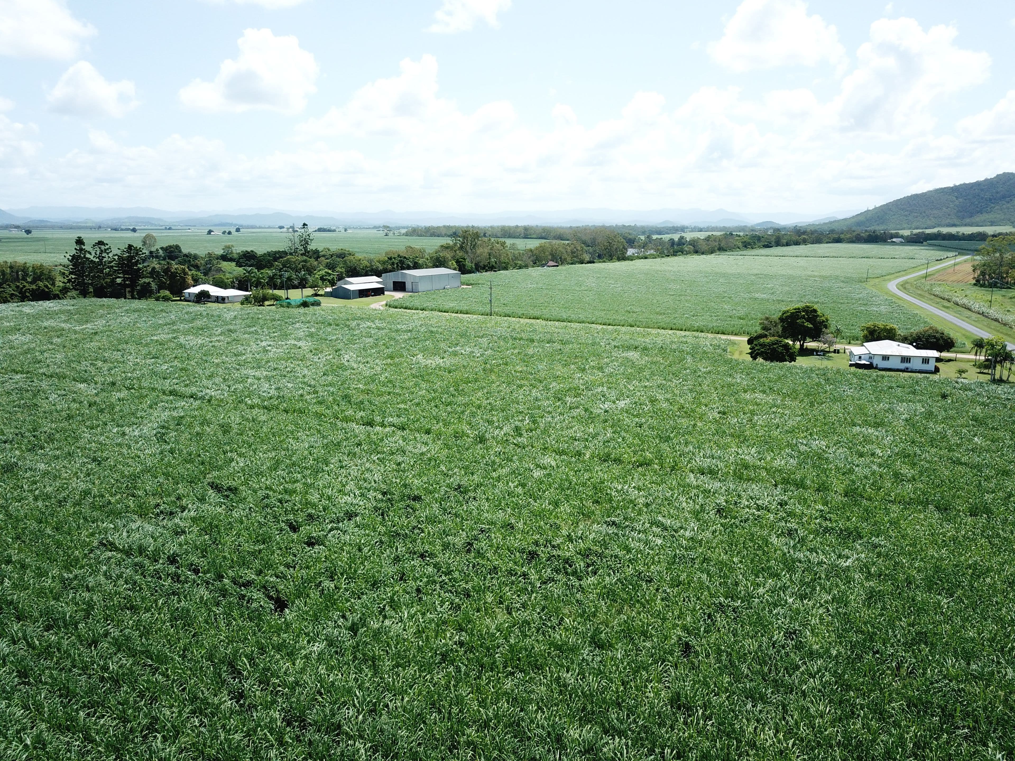132 Newmans Road, Marian QLD 4753, Marian - Thumbnail 3
