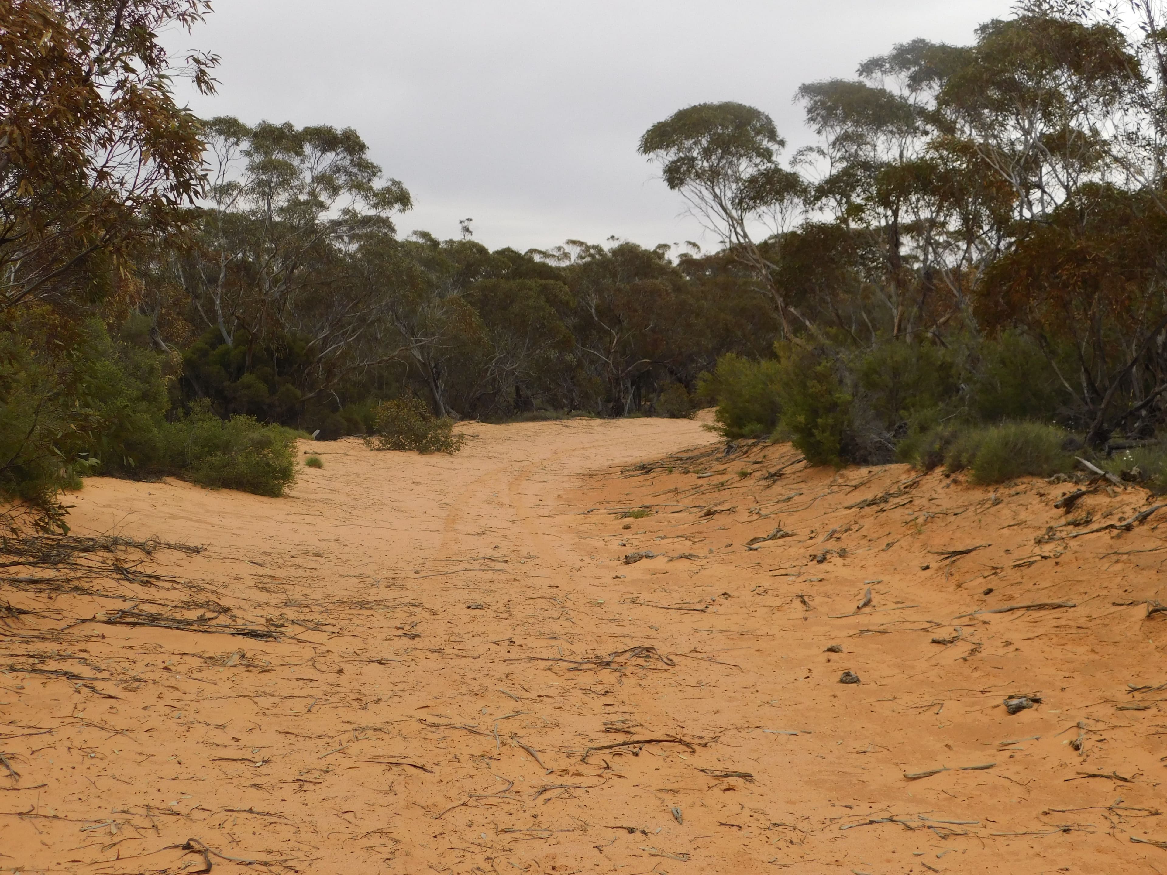 Sec 35 Racecourse Road, Halidon SA 5309, Halidon - Thumbnail 8
