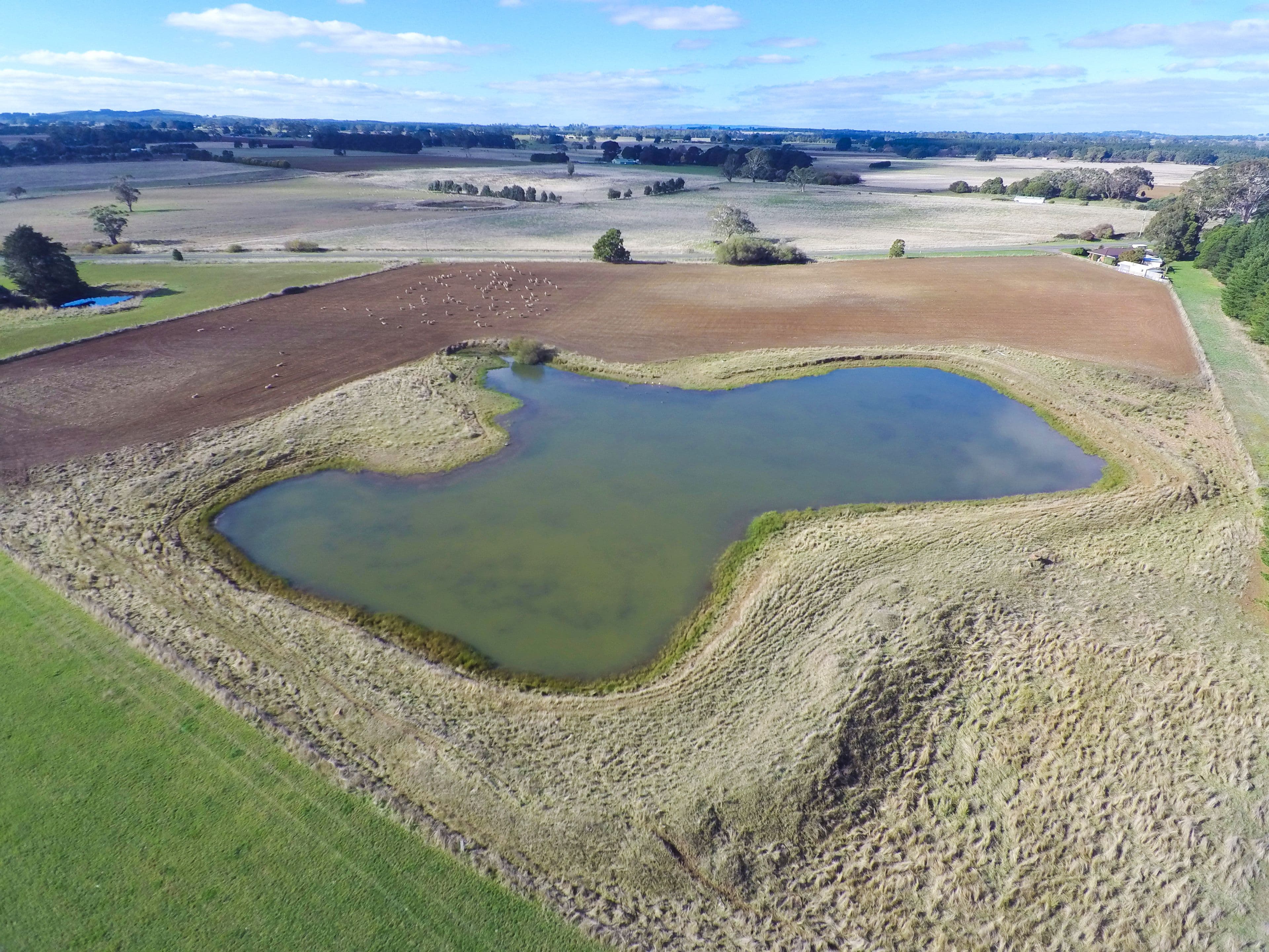 190 Black Swamp Road, Bungaree VIC 3352, Bungaree - Thumbnail 3