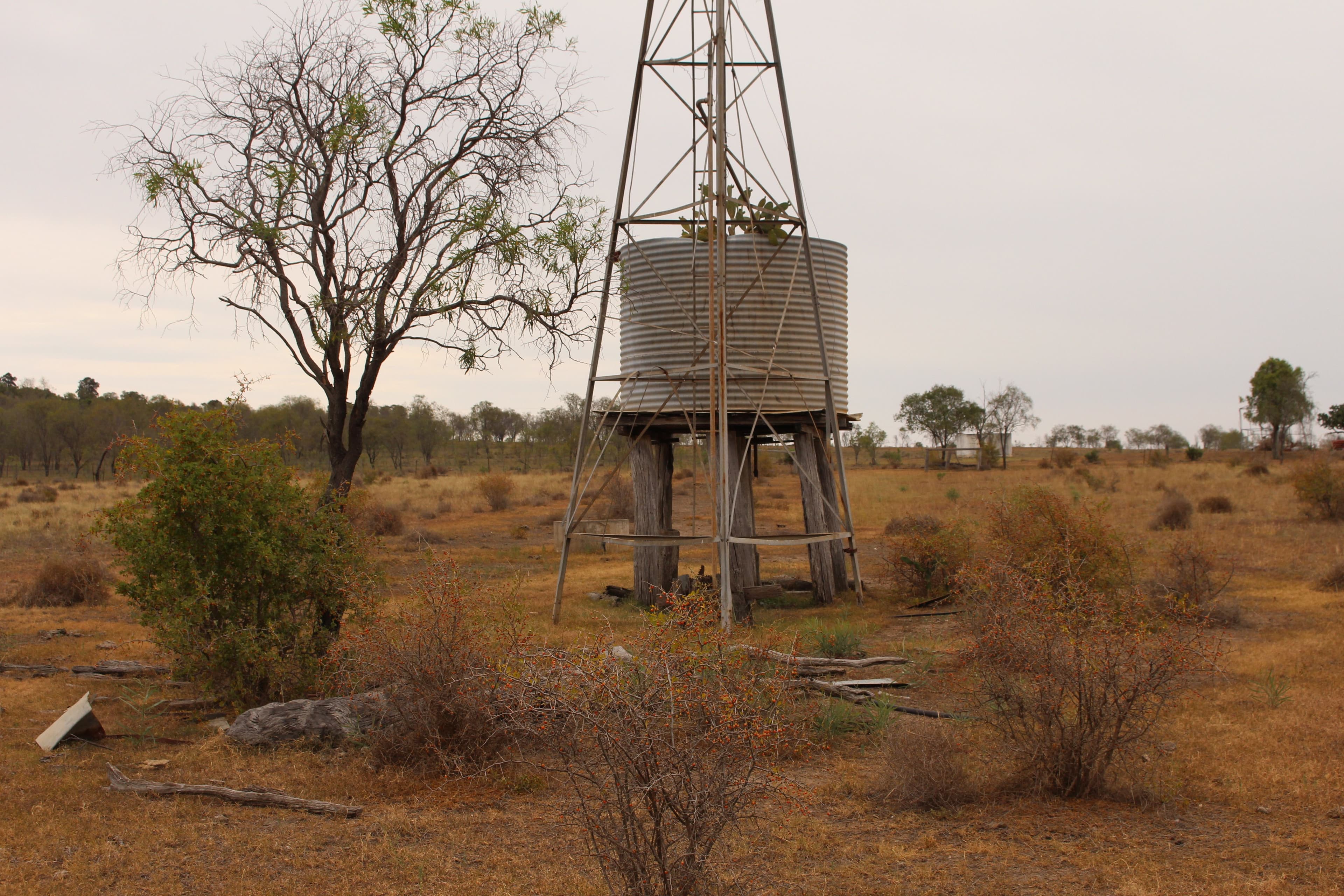 293 Heinemann Road, Scrubby Mountain, Pittsworth QLD 4356, Pittsworth - Thumbnail 7