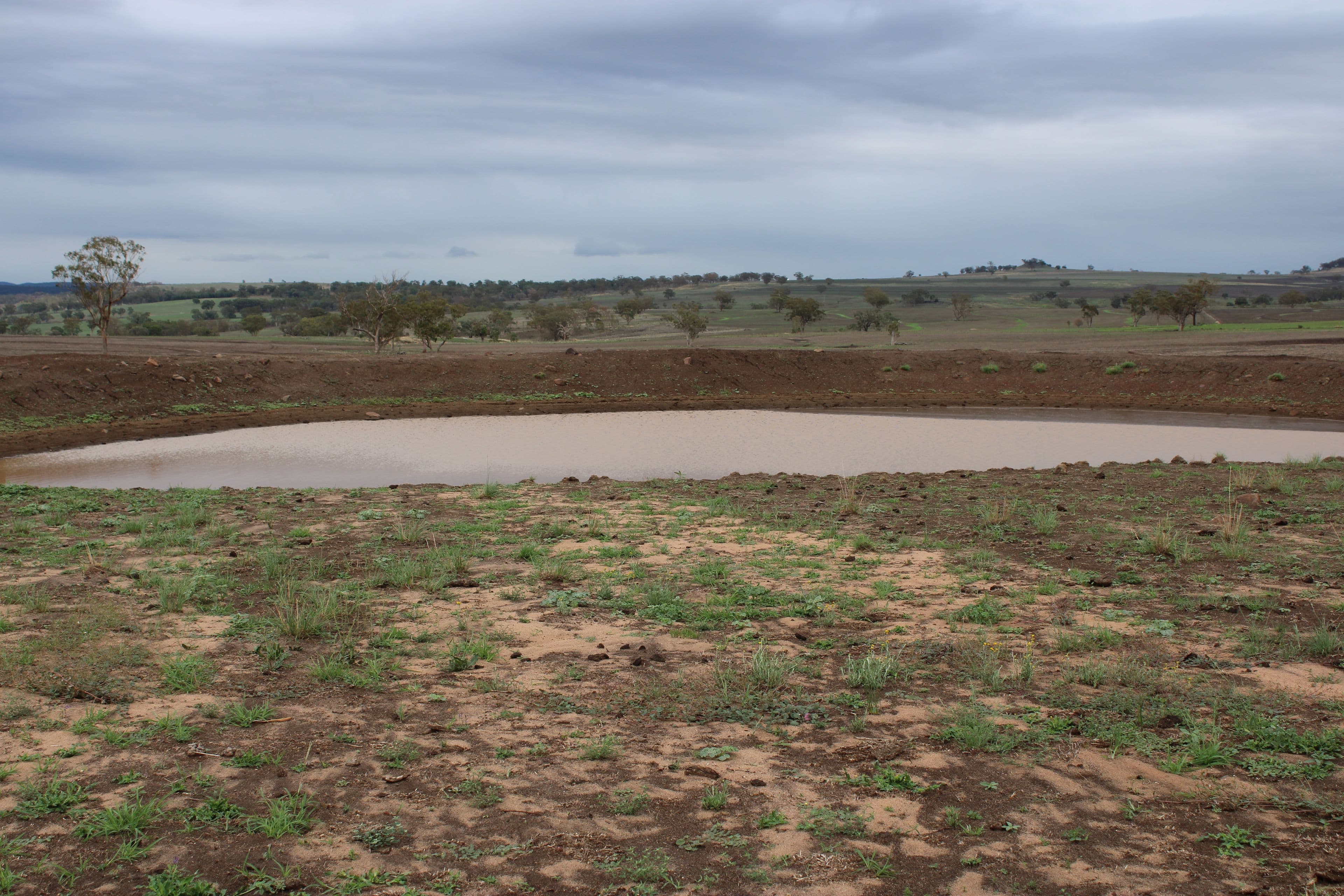 Inverell NSW 2360, Inverell - Thumbnail 7