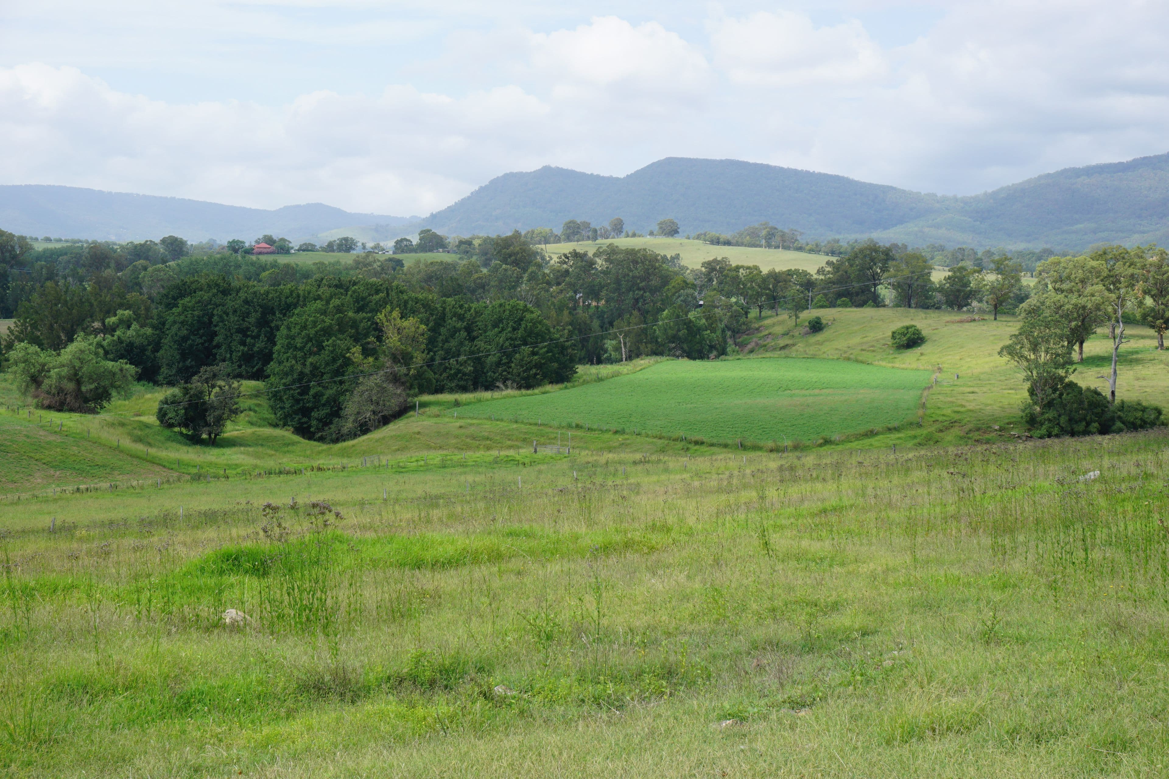 2484 Glendonbrook Road, Gresford NSW 2311, Gresford - Thumbnail 3