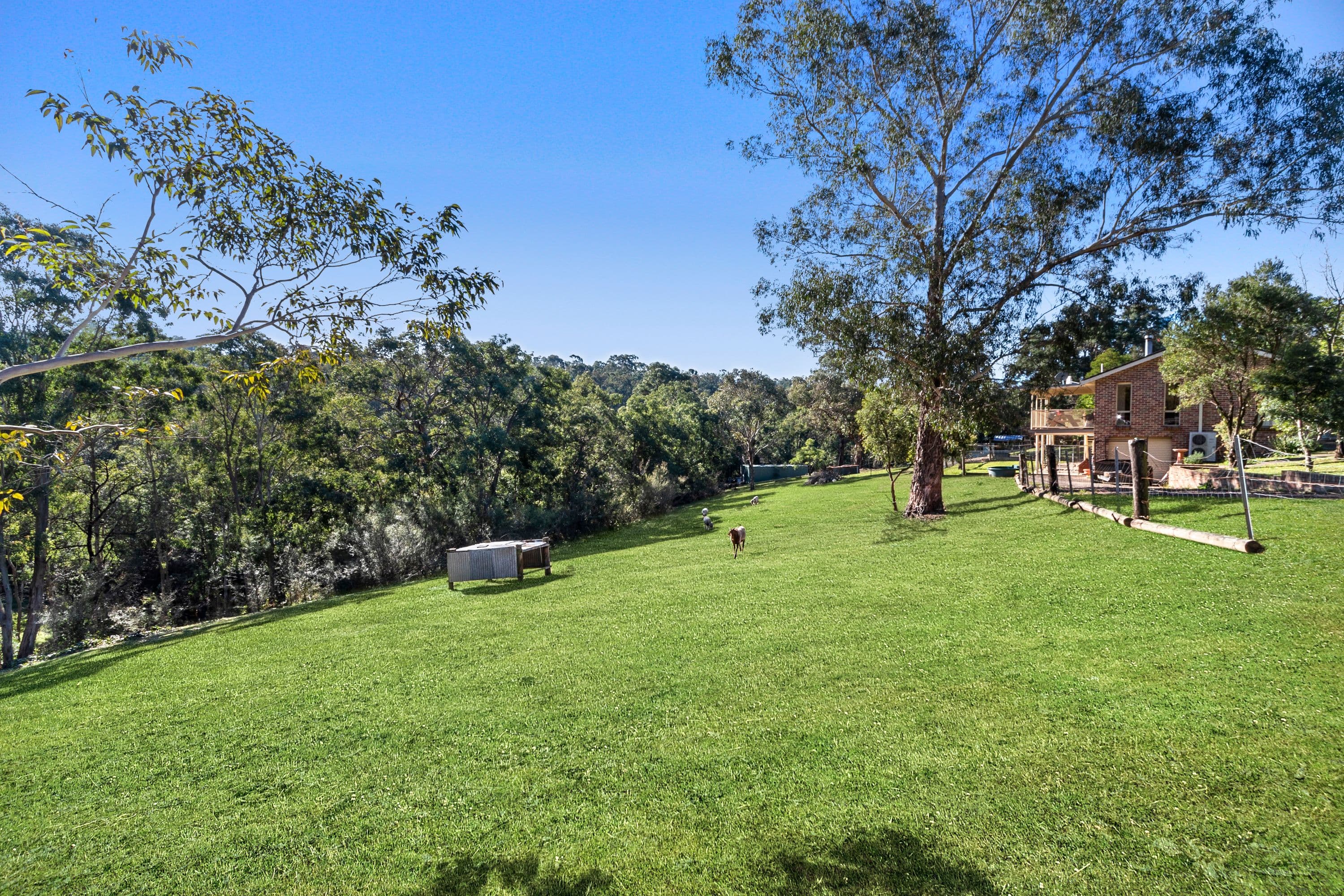 37 Diamond Hill Drive, Kurrajong Hills NSW 2758, Kurrajong Hills - Thumbnail 4