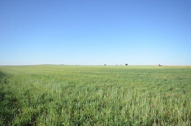 "Hogbens" Lot 494 Sings Road, Manoora SA 5414, Manoora - Thumbnail 2