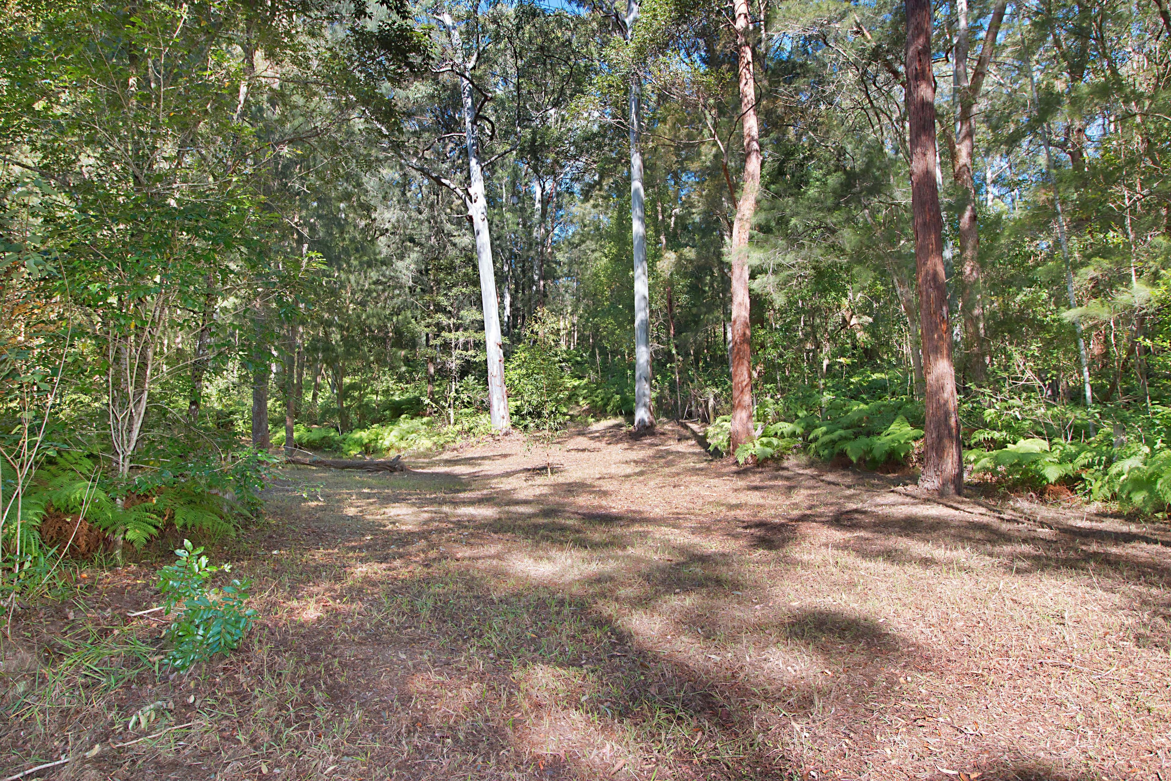 Lot 18, 215 Everinghams Road, Pumpenbil NSW 2484, Pumpenbil - Thumbnail 6