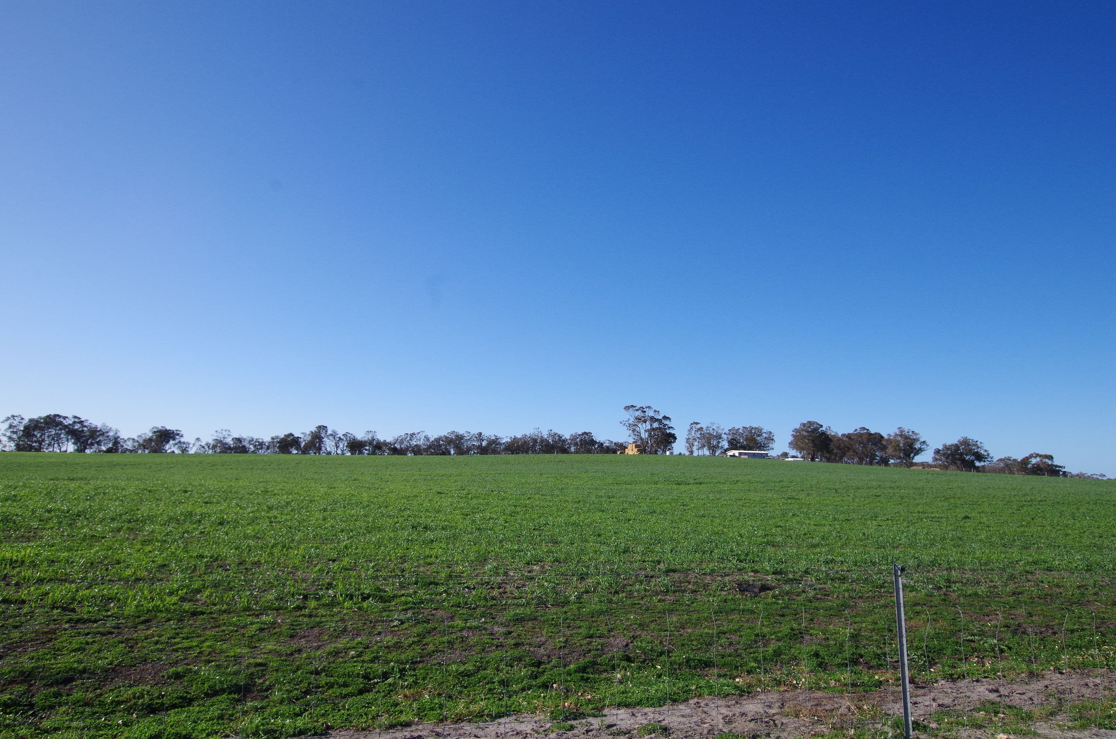 144 Spencer Road, Narrikup WA 6326, Narrikup - Thumbnail 6
