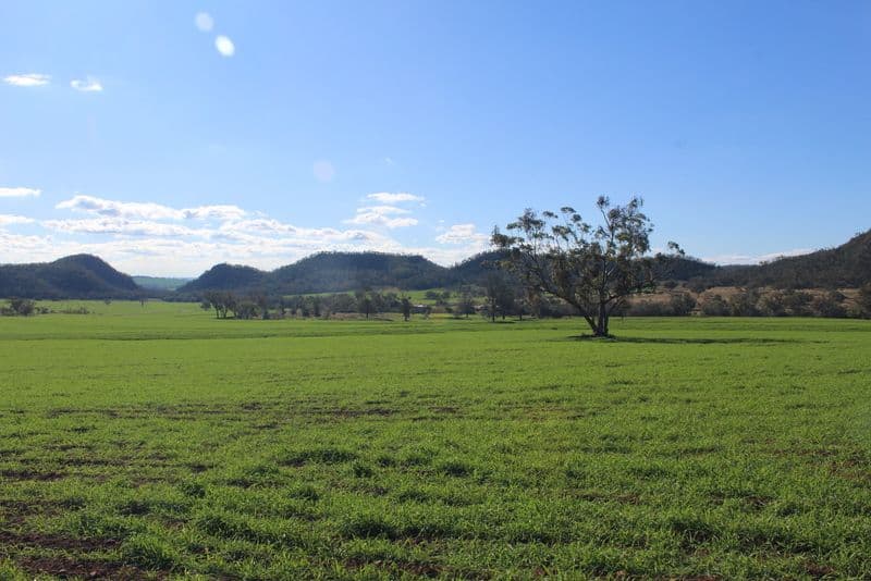 " Wilga Valley", Edgeroi NSW 2390, Edgeroi - Thumbnail 8