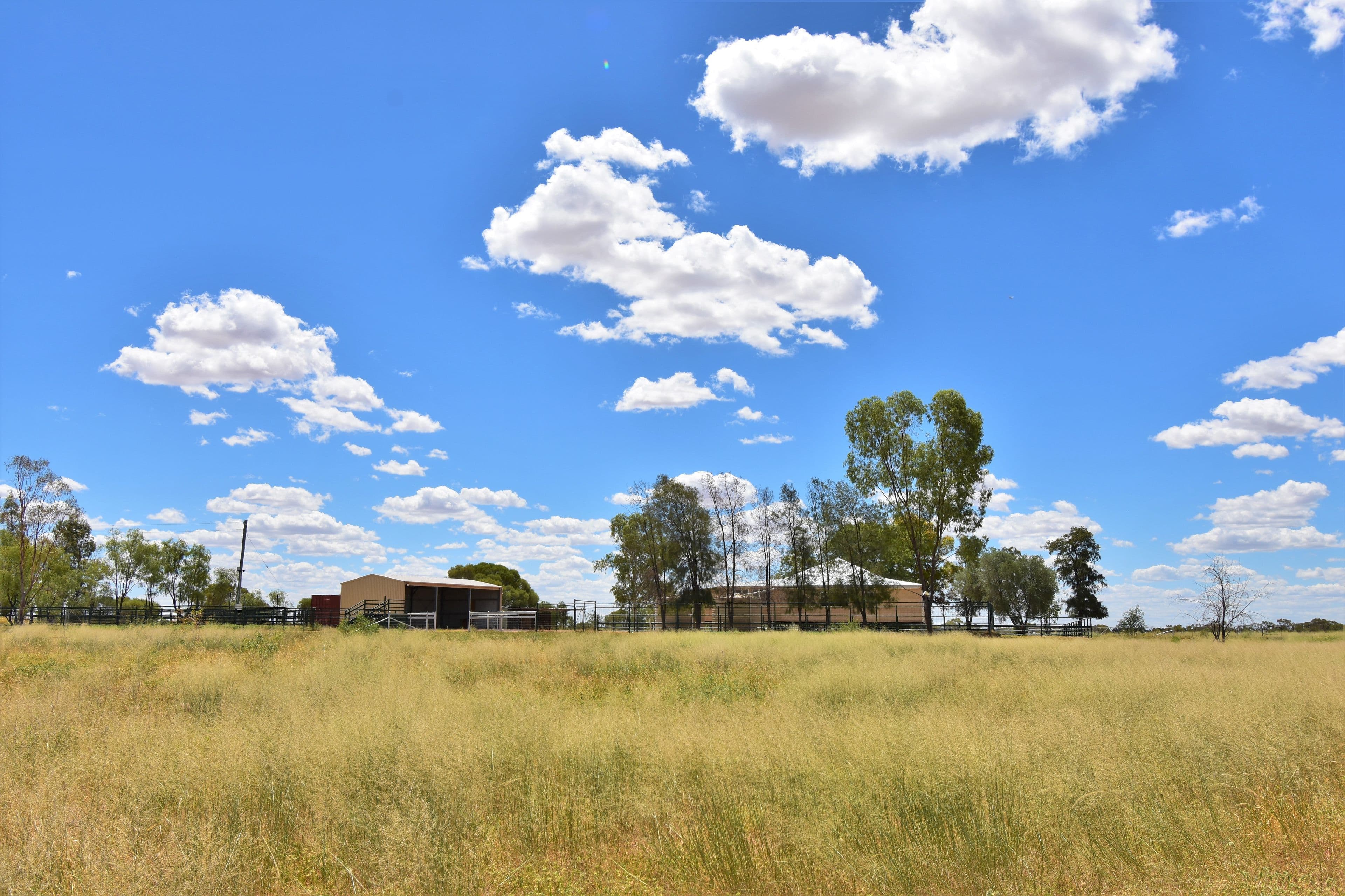 336 Cramsie-Muttaburra Road, Longreach QLD 4730, Longreach - Thumbnail 7