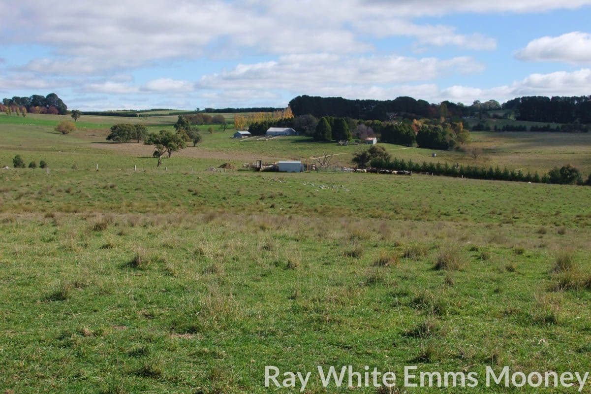 Blayney NSW 2799, Blayney - Thumbnail 3