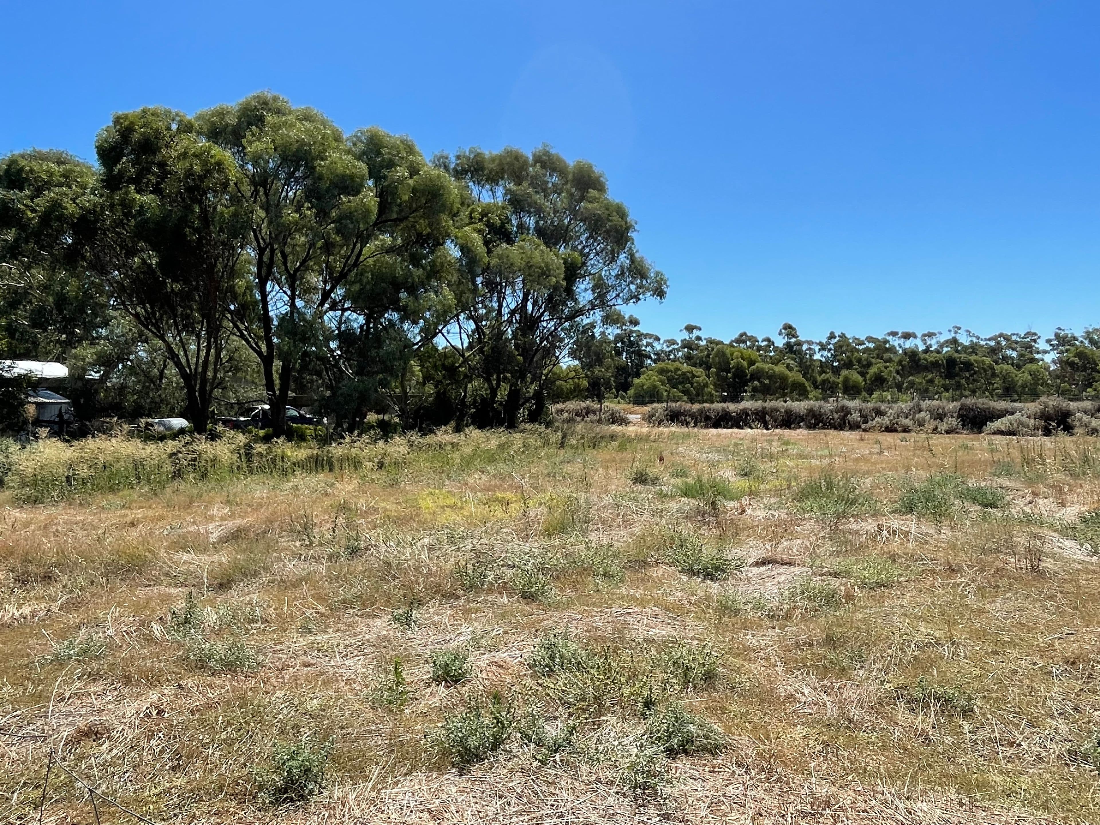 27-29 Railway Terrace, Spalding SA 5454, Spalding - Thumbnail 2