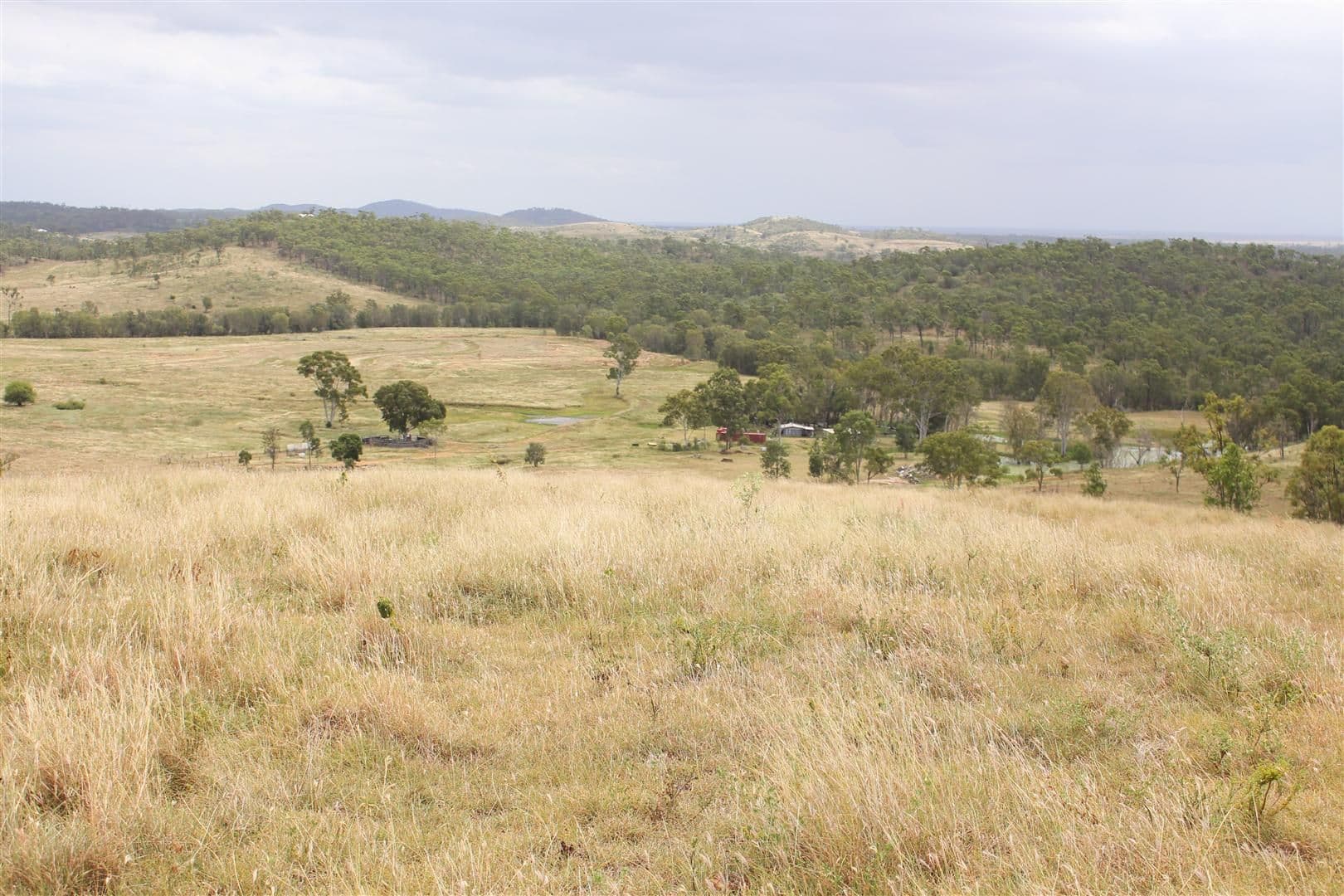 200 Morse Road, Raglan QLD 4697, Raglan - Thumbnail 5