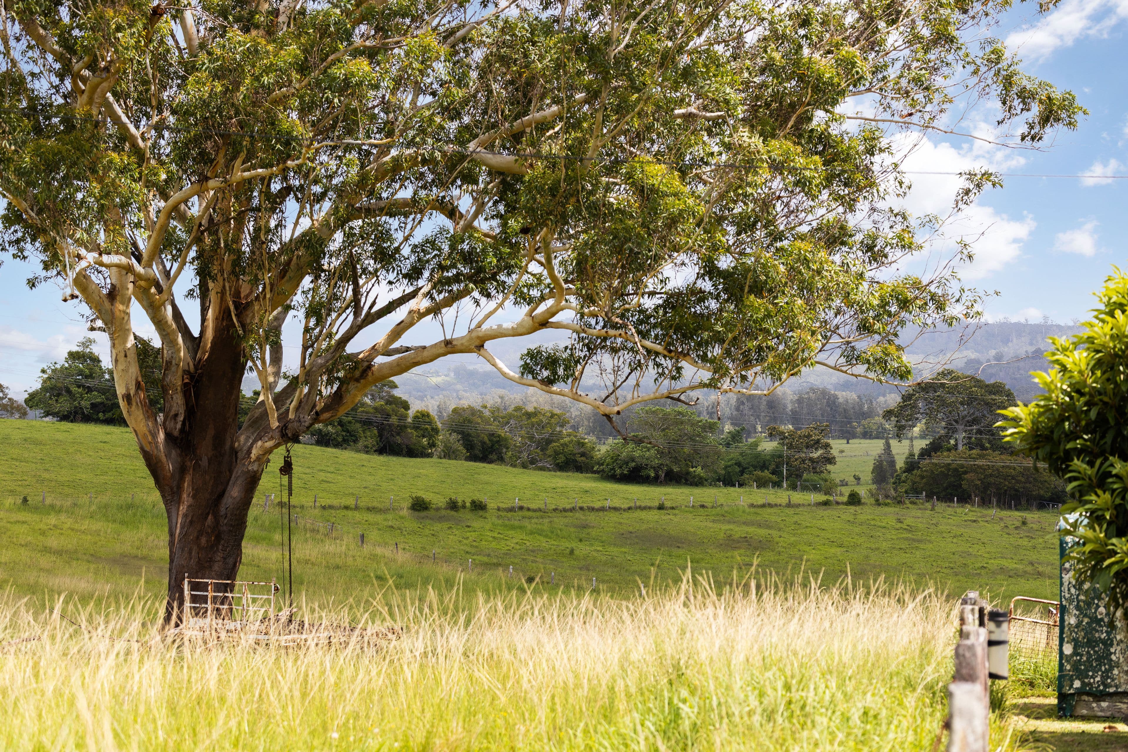 53 Macquarie Street, Coopernook NSW 2426, Coopernook - Thumbnail 5