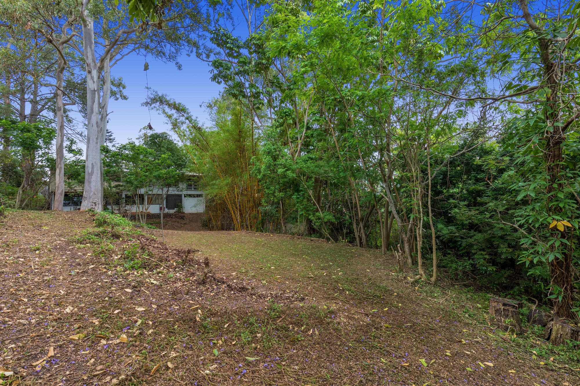 194 Jesmond Road, Indooroopilly QLD 4068, Indooroopilly - Thumbnail 3