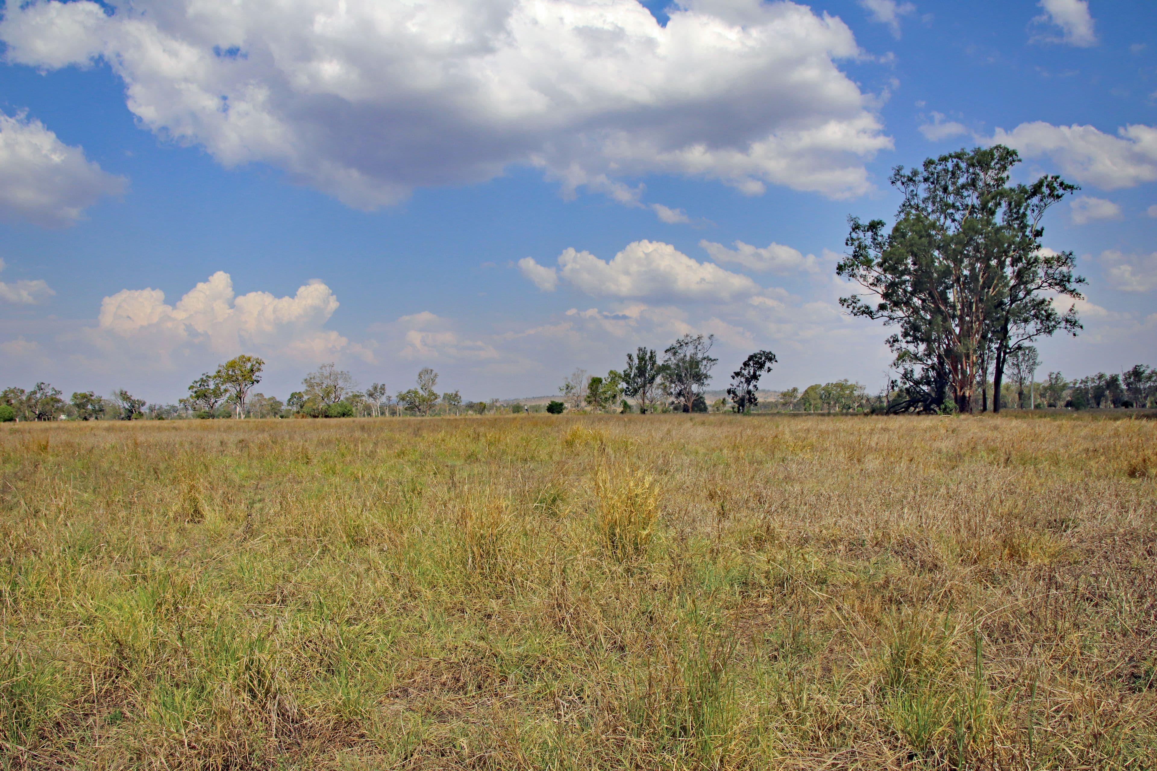 47413 Burnett Highway, Dululu QLD 4702, Dululu - Thumbnail 2