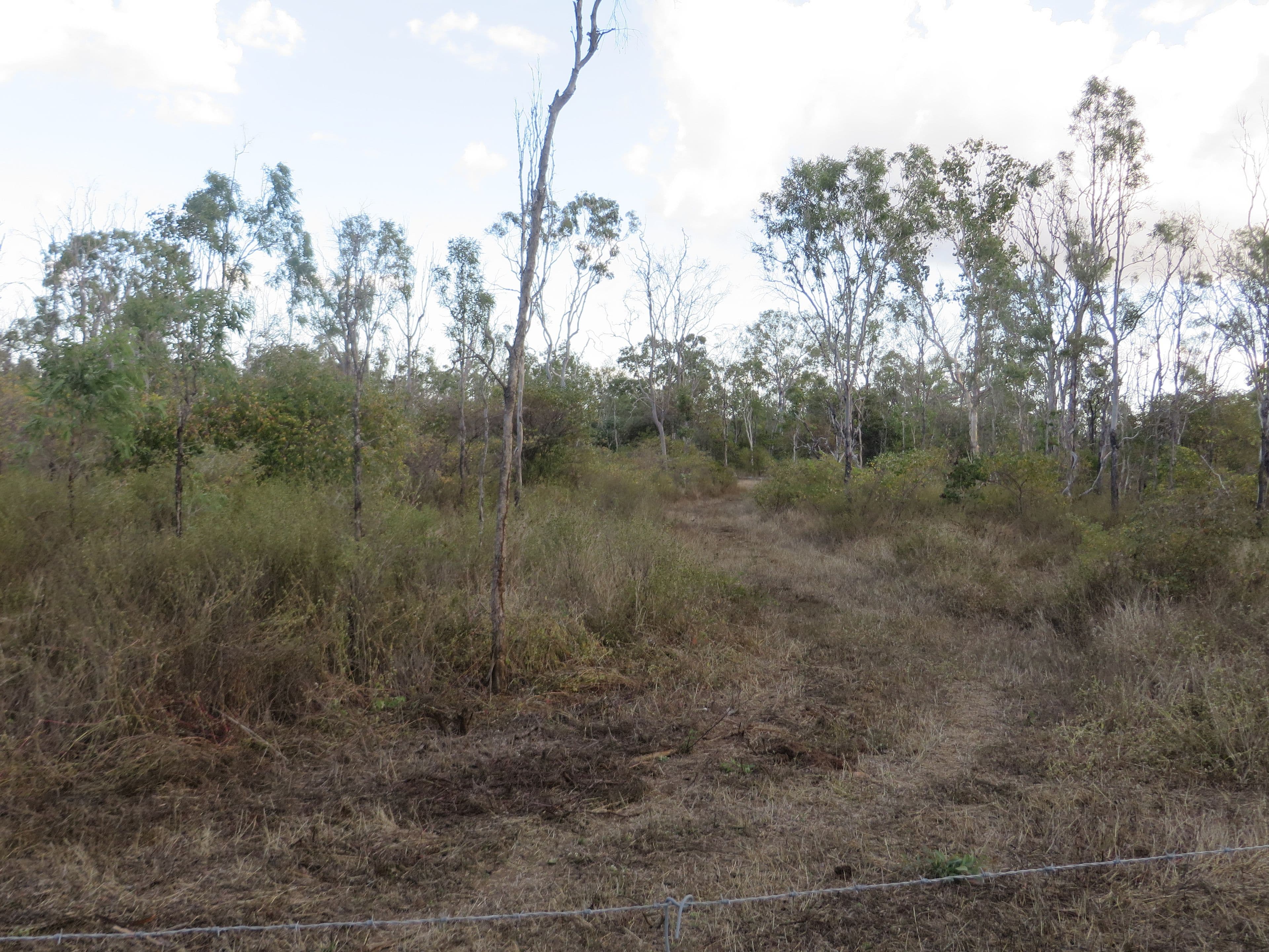 Kirknie QLD 4806, Kirknie - Thumbnail 4
