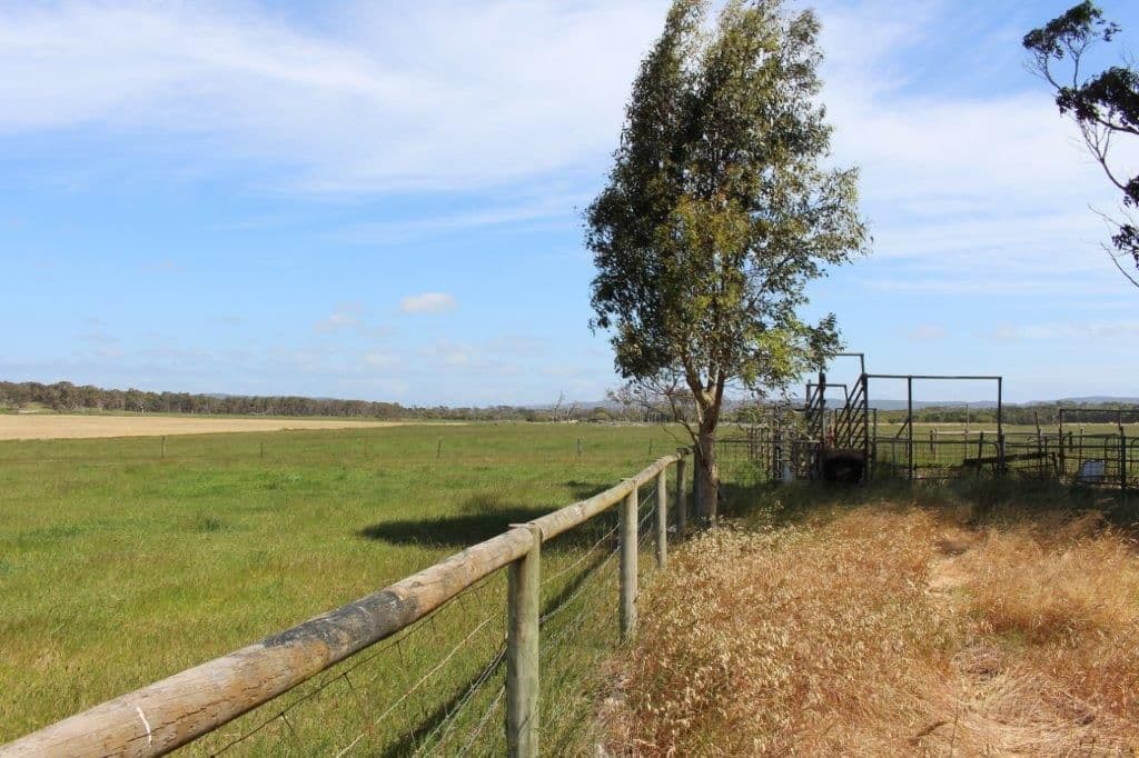 73 Belmore Road, Youngs Siding WA 6330, Youngs Siding - Thumbnail 4