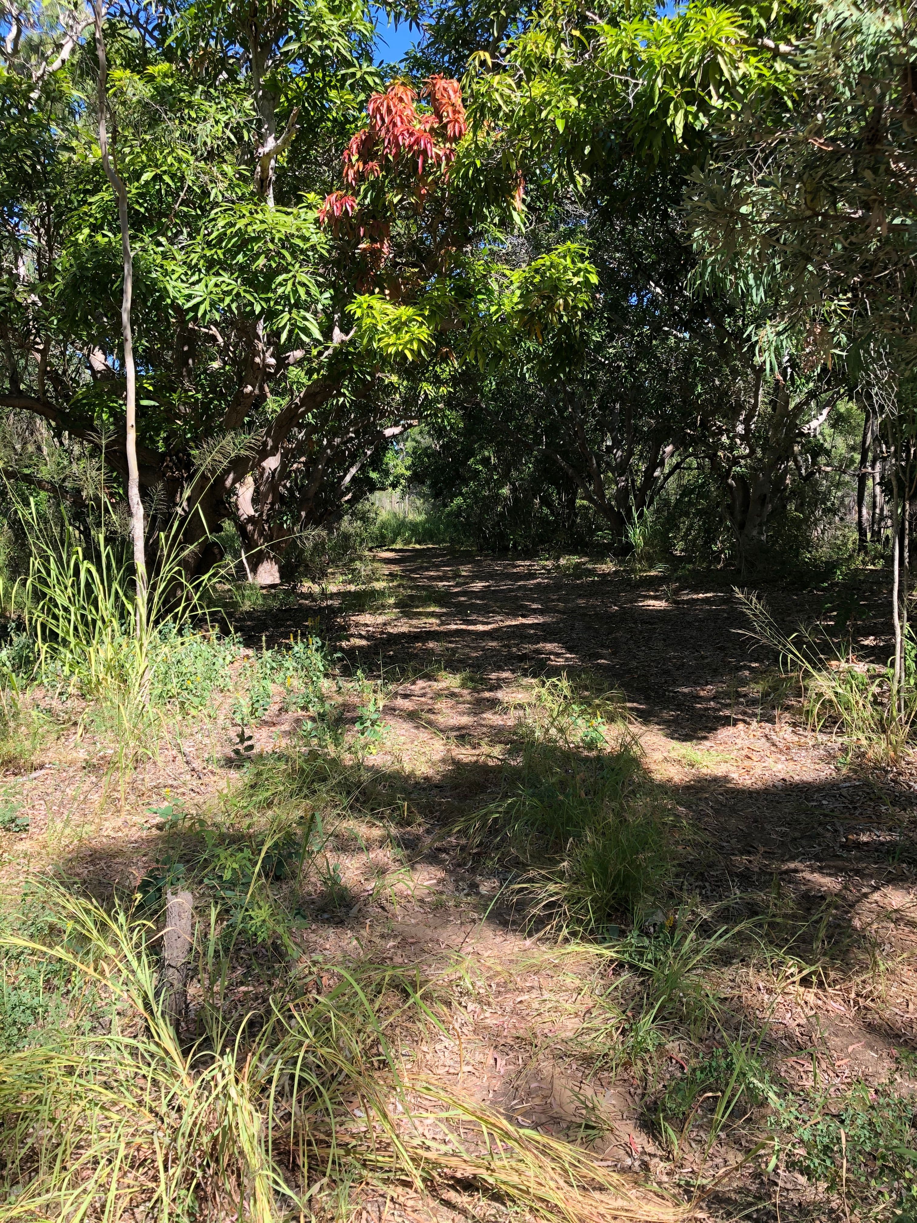 Lot 2 Keppel Sands Road, Keppel Sands QLD 4702, Keppel Sands - Thumbnail 8
