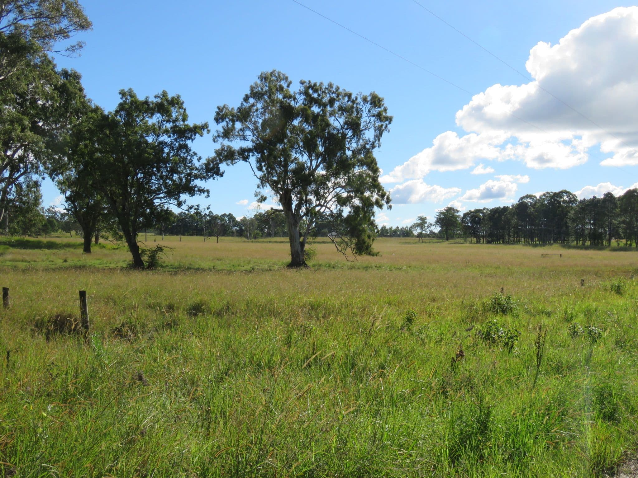 1 Toohey Road, Caniaba NSW 2480, Caniaba - Thumbnail 7