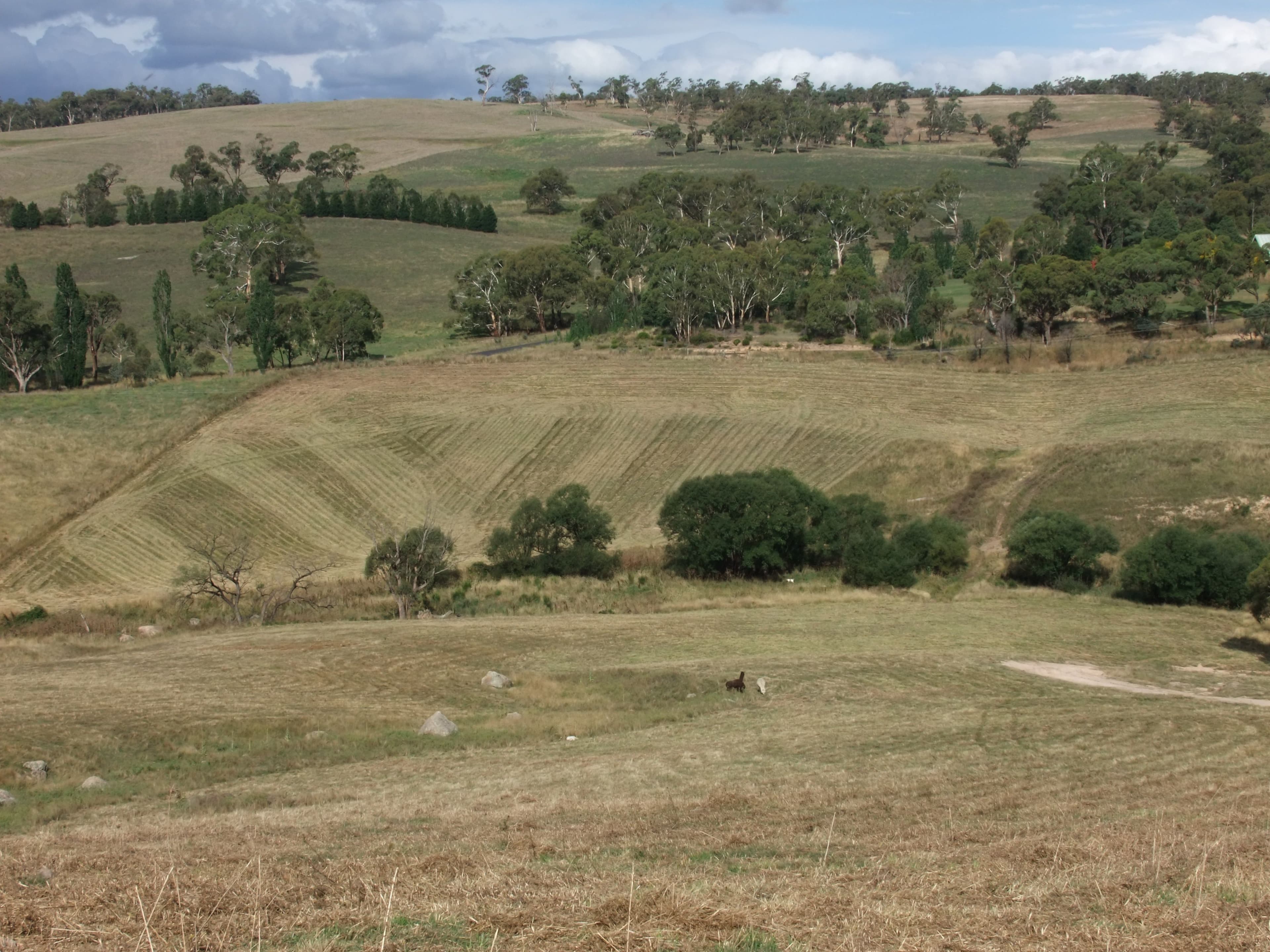 Tarana NSW 2787, Tarana - Image 1