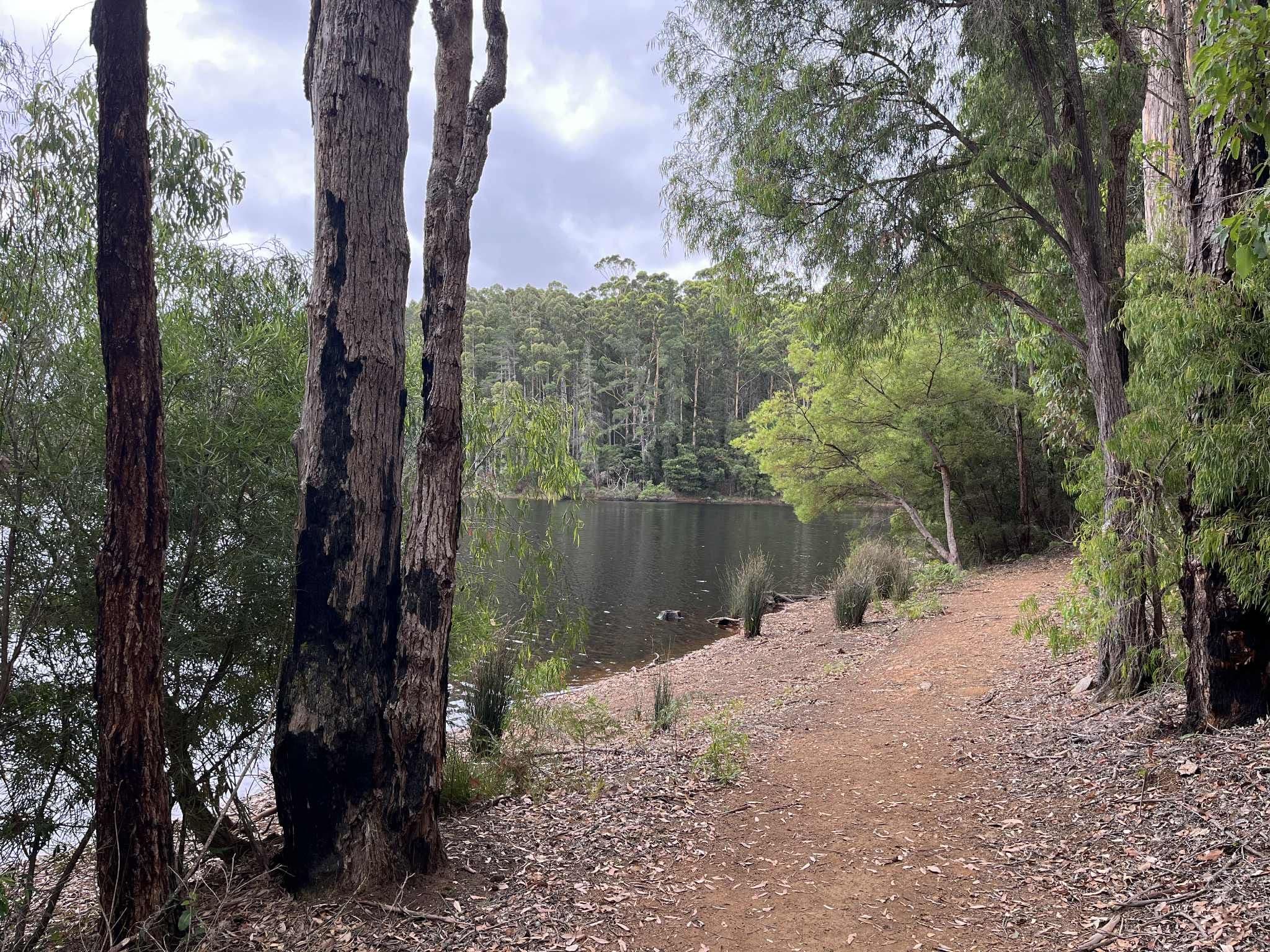 Karri Lane, Quinninup WA 6258, Quinninup - Thumbnail 5