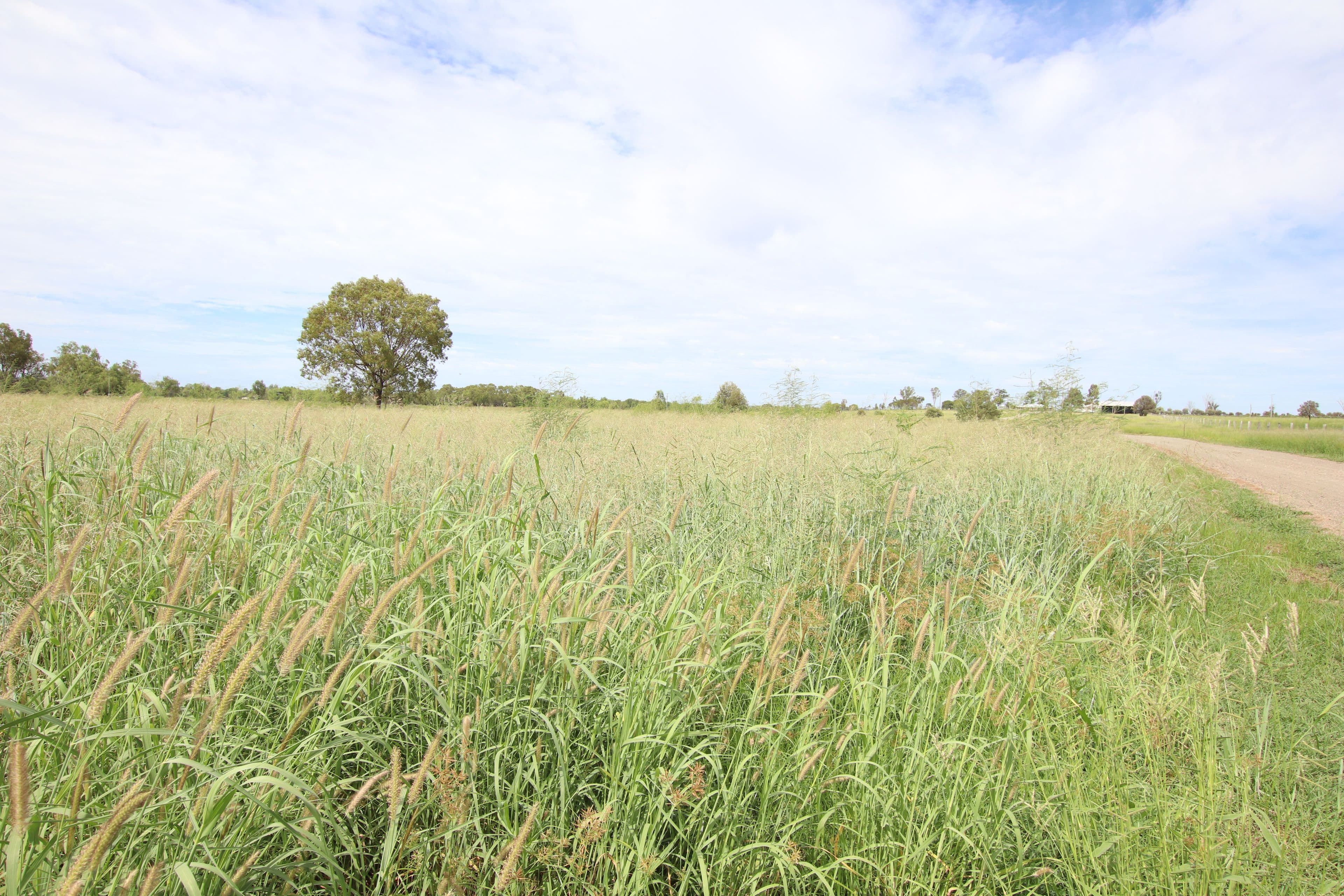 381 Bailey's Lane, Valentine Plains QLD 4715, Valentine Plains - Thumbnail 3