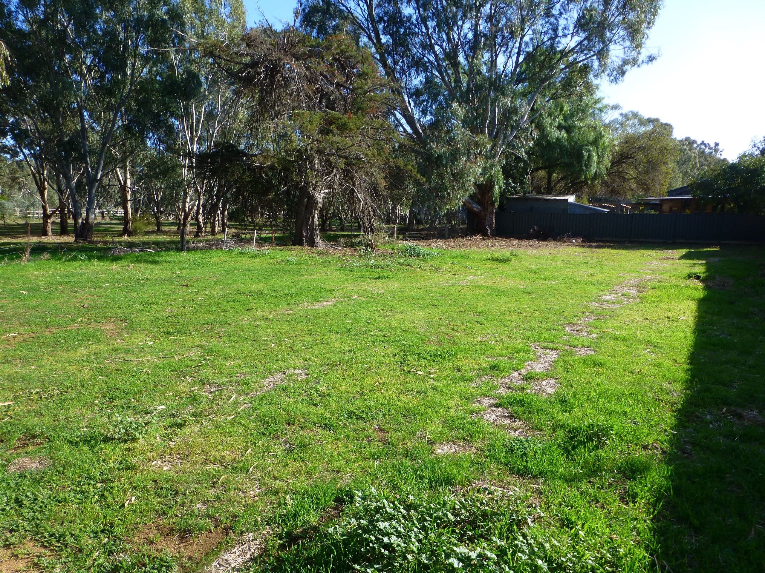 14 Martin Street, Echuca VIC 3564, Echuca - Thumbnail 2