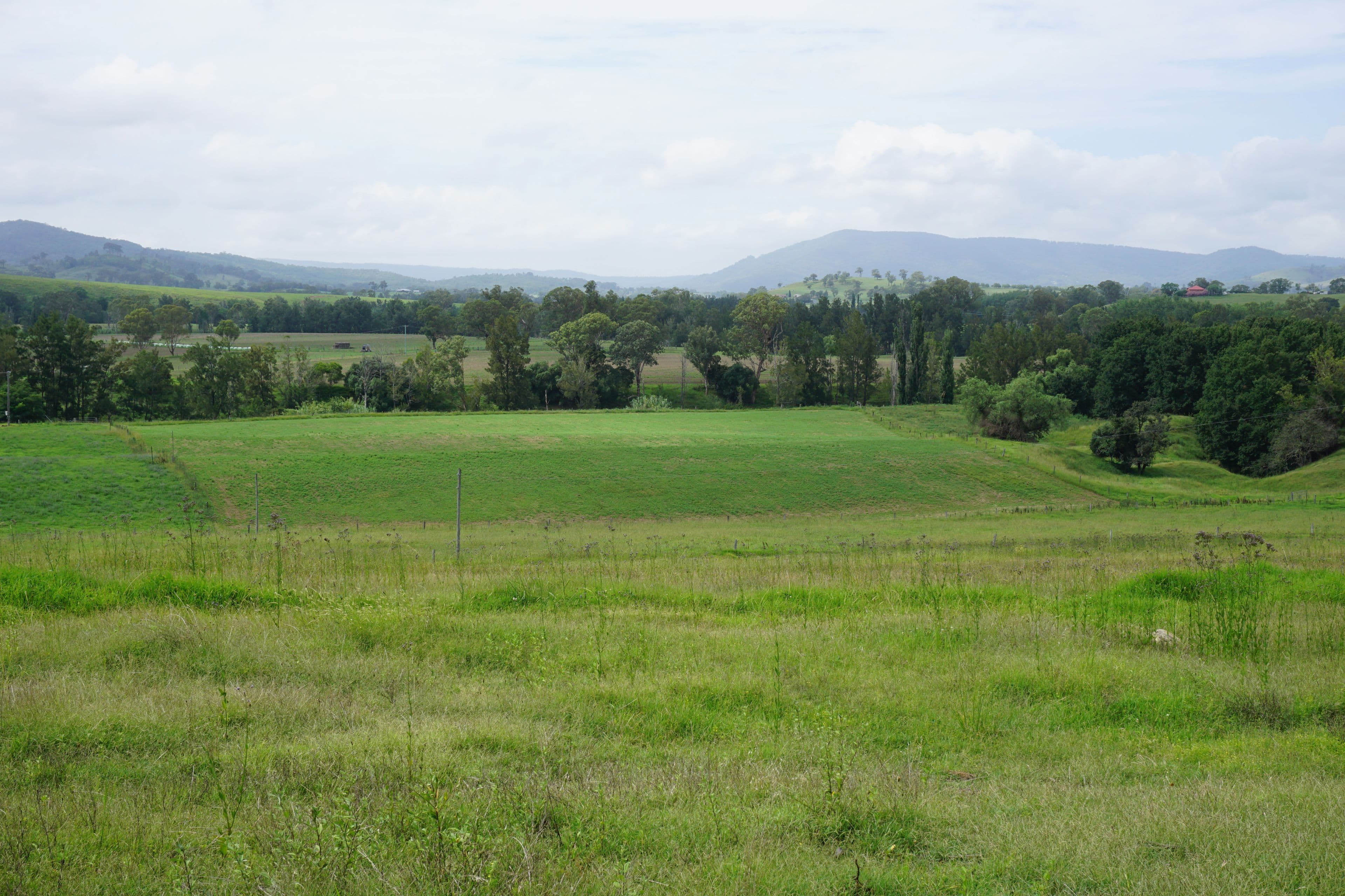 2484 Glendonbrook Road, Gresford NSW 2311, Gresford - Thumbnail 4