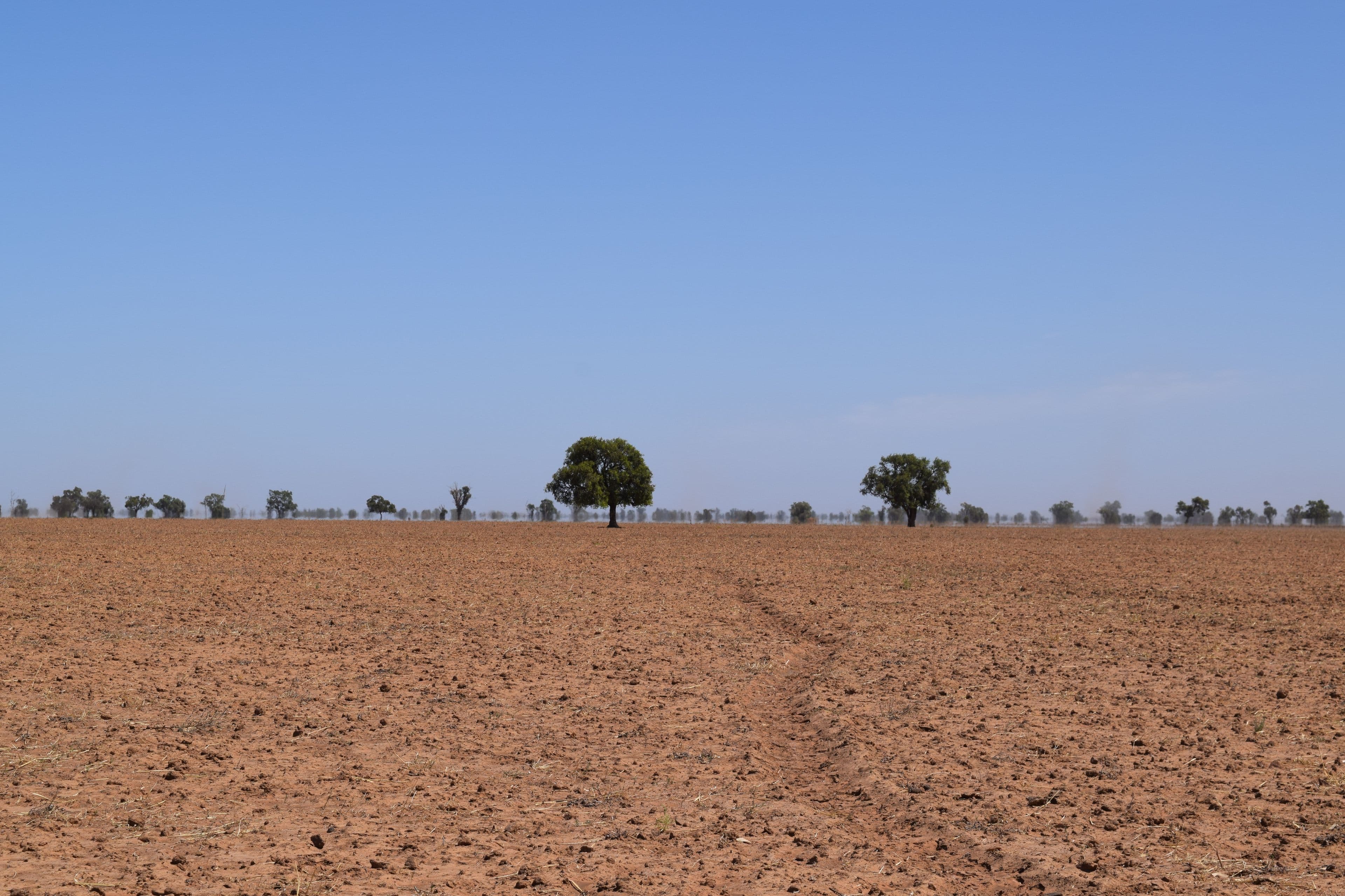 Part Gloming Bedgerebong Road, Forbes NSW 2871, Forbes - Thumbnail 4