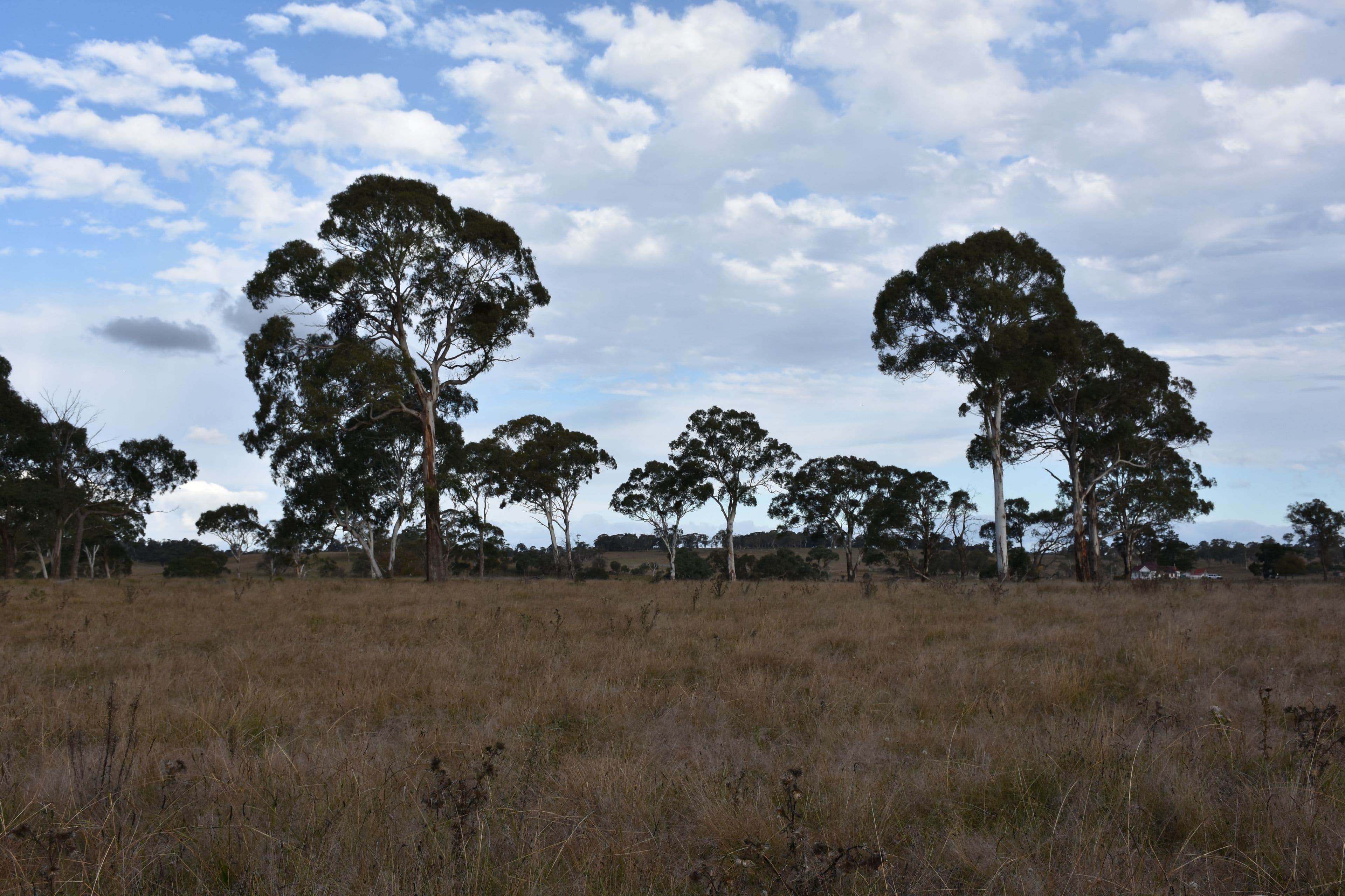 0 Donnelly's, Glen Innes NSW 2370, Glen Innes - Thumbnail 6