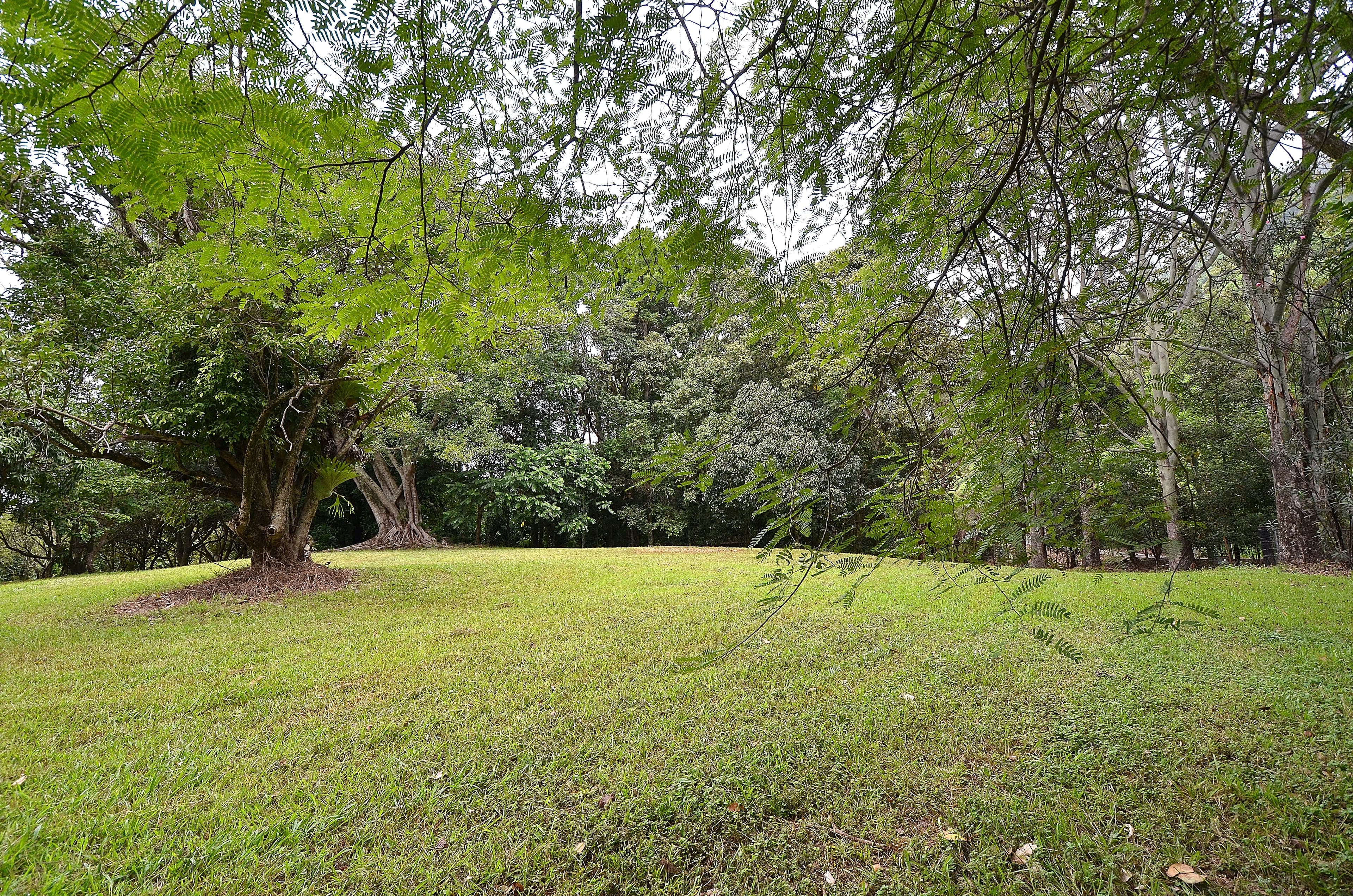 69 Estelle Road, Currumbin Valley QLD 4223, Currumbin Valley - Thumbnail 8