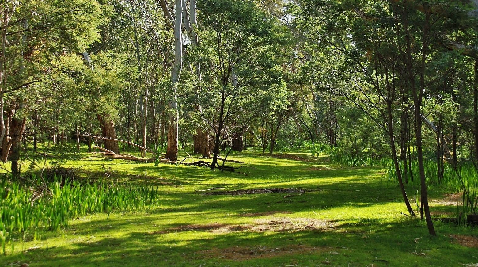 6180 Nth Highway, Heathcote VIC 3523, Heathcote - Thumbnail 2