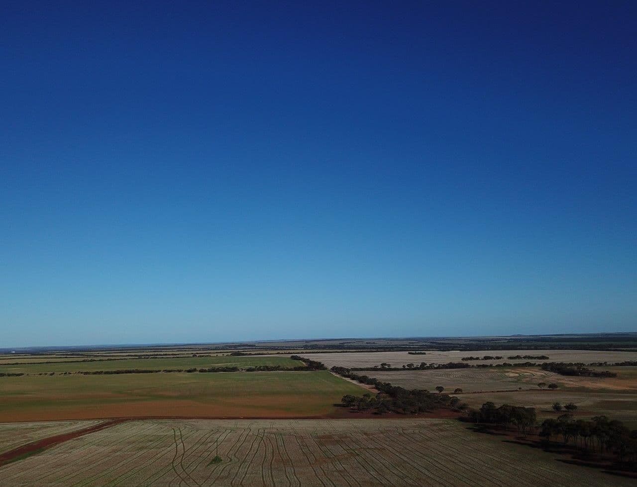 2244 Calzoni Road, Woolocutty WA 6369, Woolocutty - Thumbnail 6